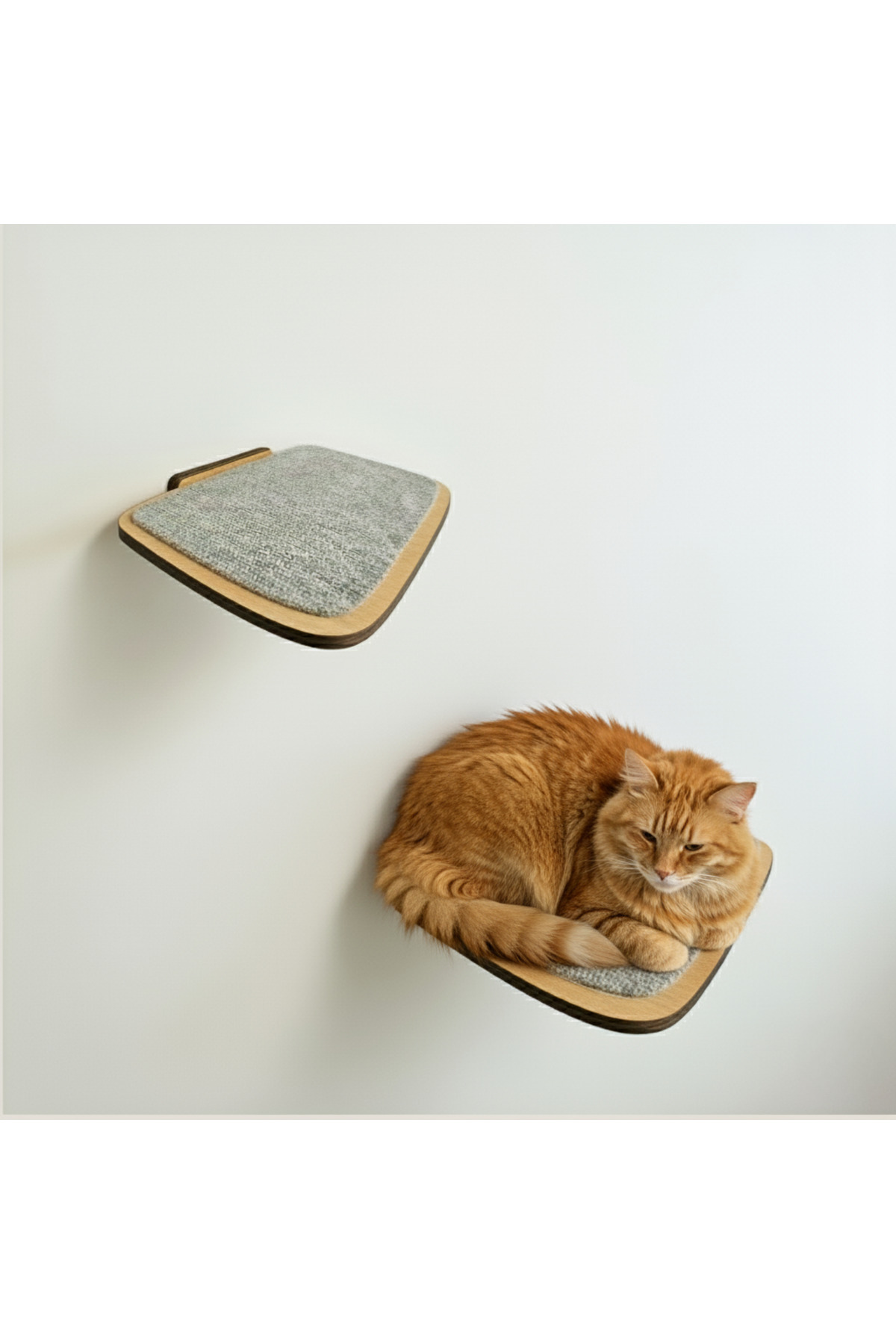 CatraWorks Büyük Boy Kedi Tırmanma Rafı, Kedi Duvar Rampası, Duvar Yürüme Platformu