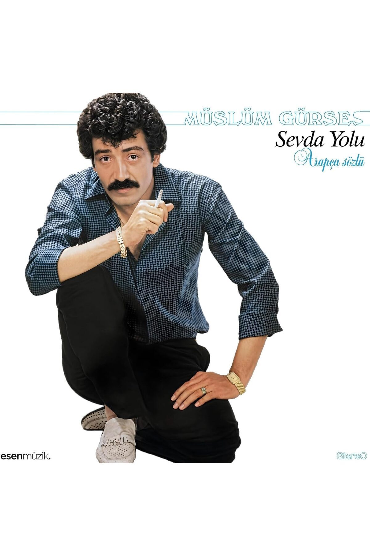 Yıldızan Gürses Sevda Yolu Plak 395519