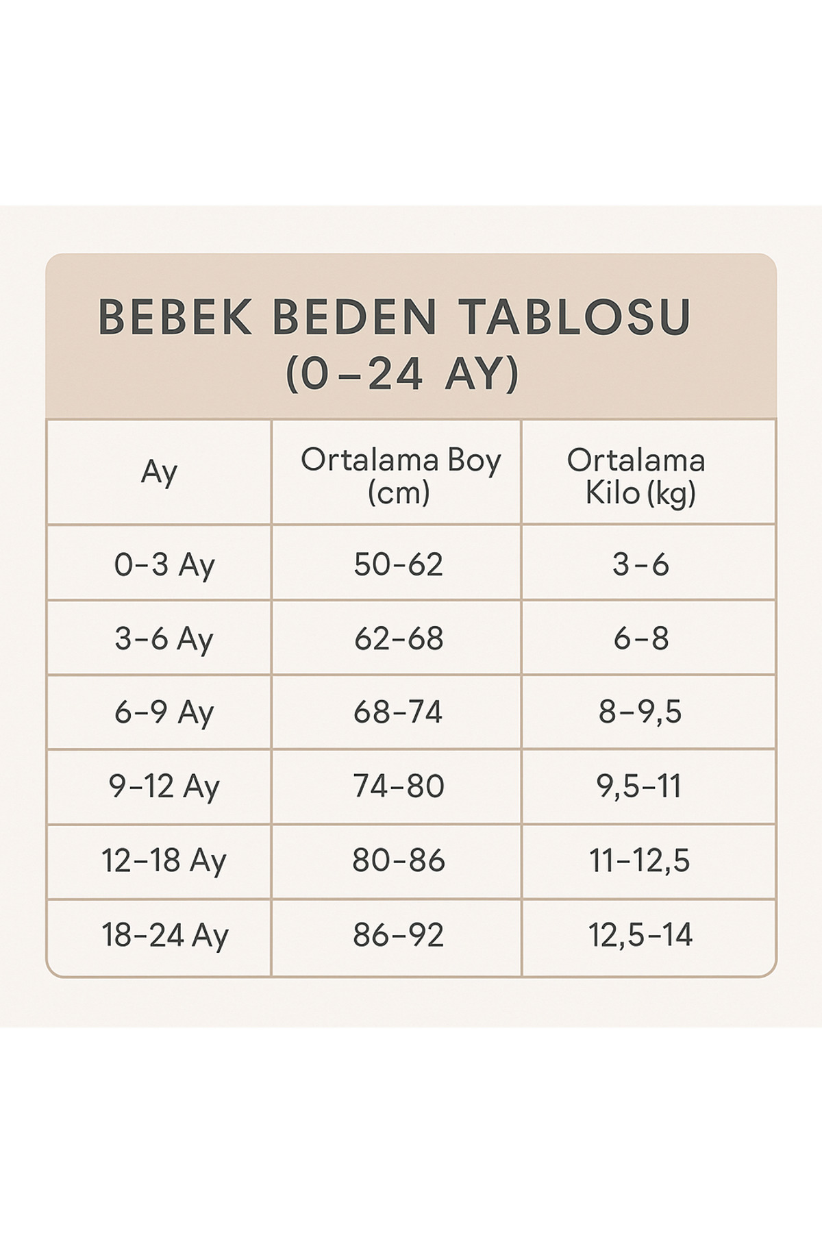 Arı Bebe Kız Bebek Minnie nakışlı body’li tül etekli tütü takım fotoğrafı 4 (önizleme)