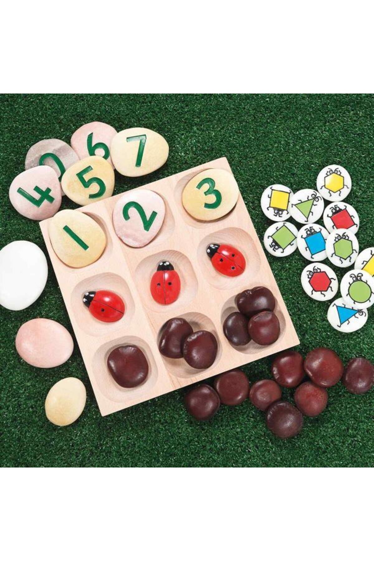 - سینی مرتب‌سازی طبیعی