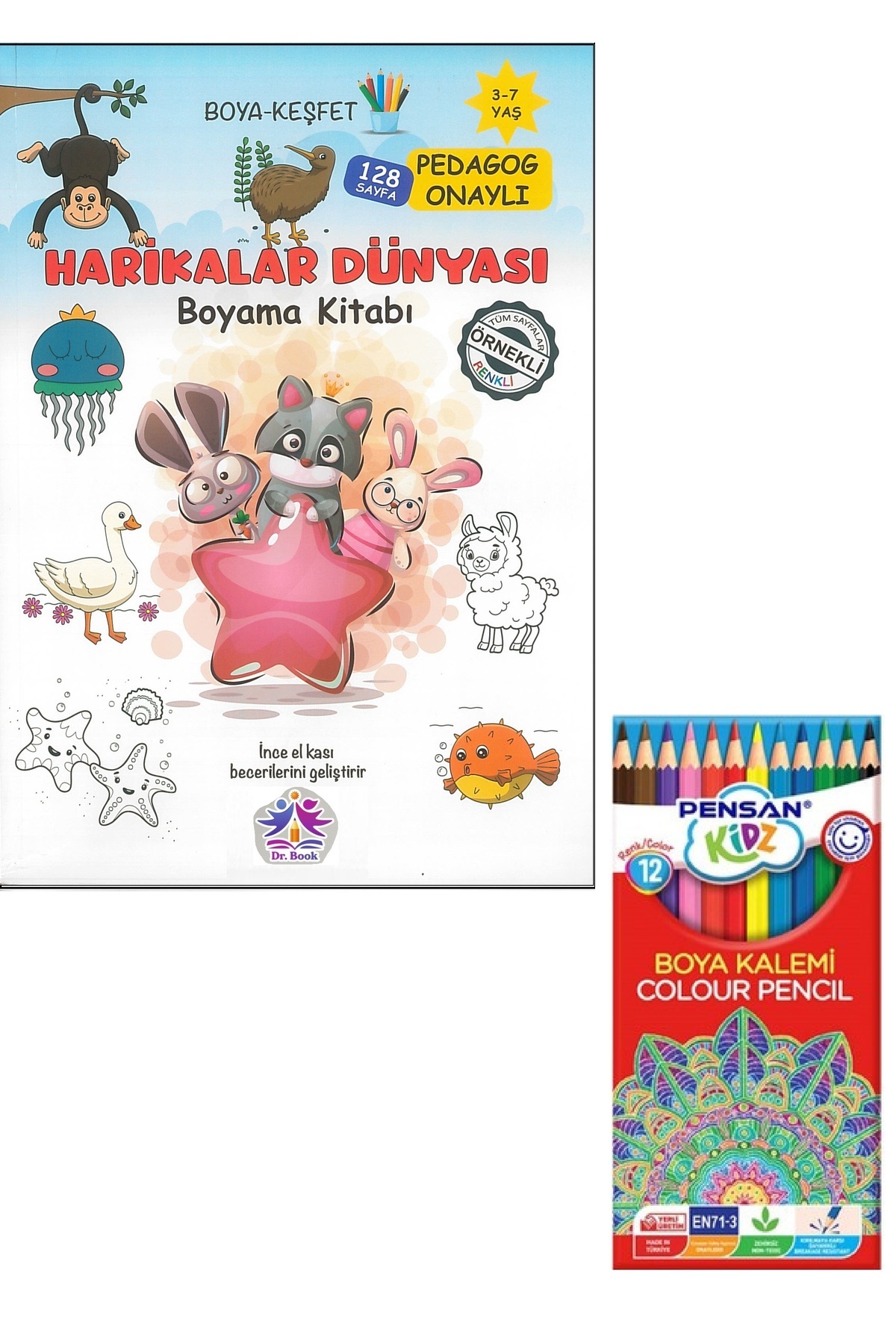 Palet Sanat 3-7 YAŞA UYGUN PEDAGOG ONAYLI 128 SAYFA BOYAMA KİTABI SETİ