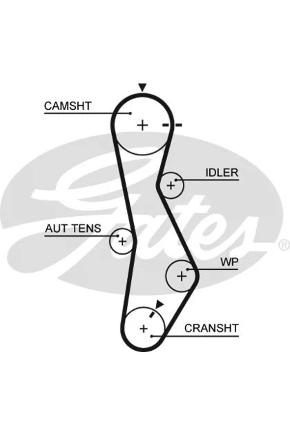 GATES Triger kayışı GAT 5579XS