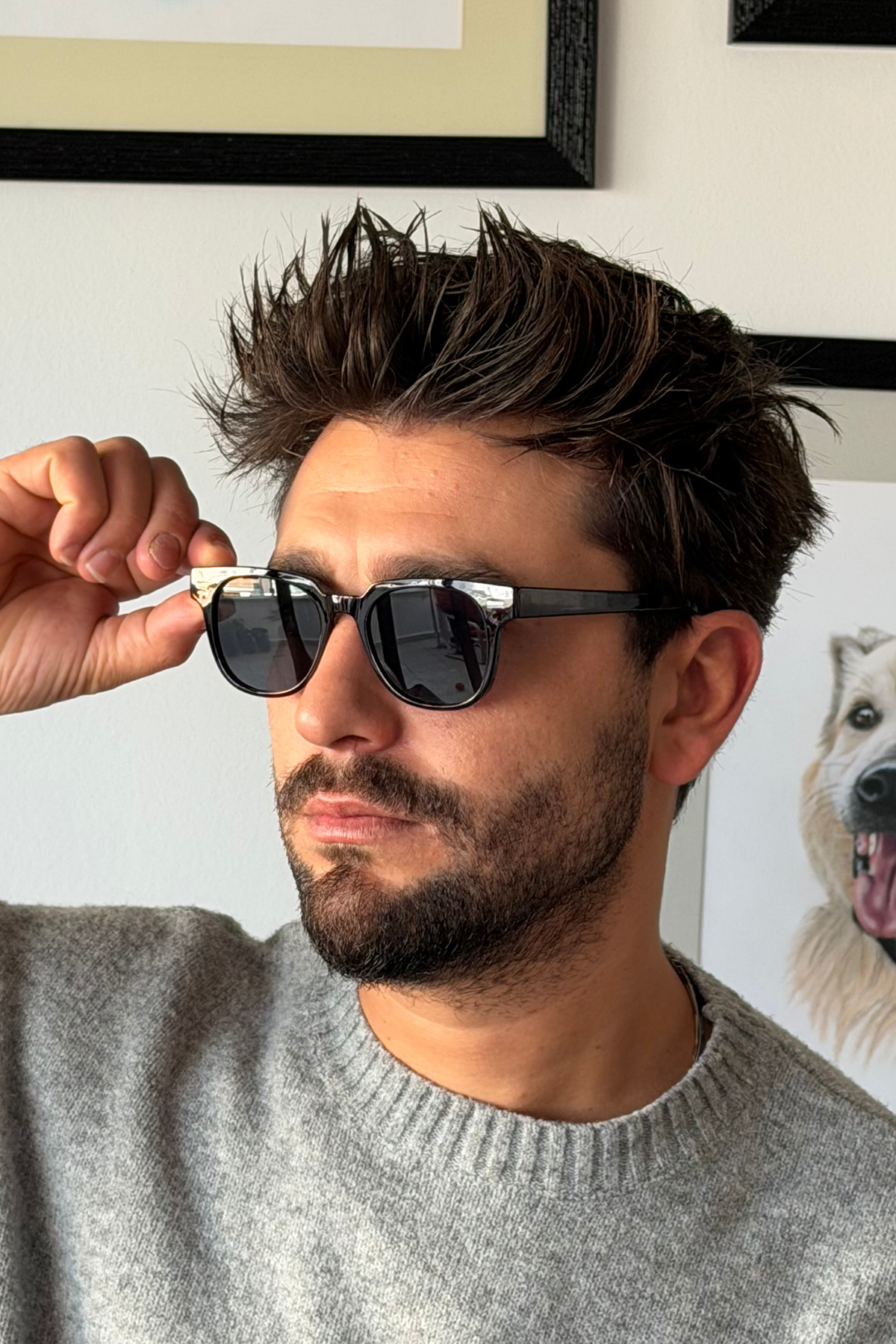 By Harmony  BH 21680 C01 Erkek Güneş Gözlüğü - Görsel 6