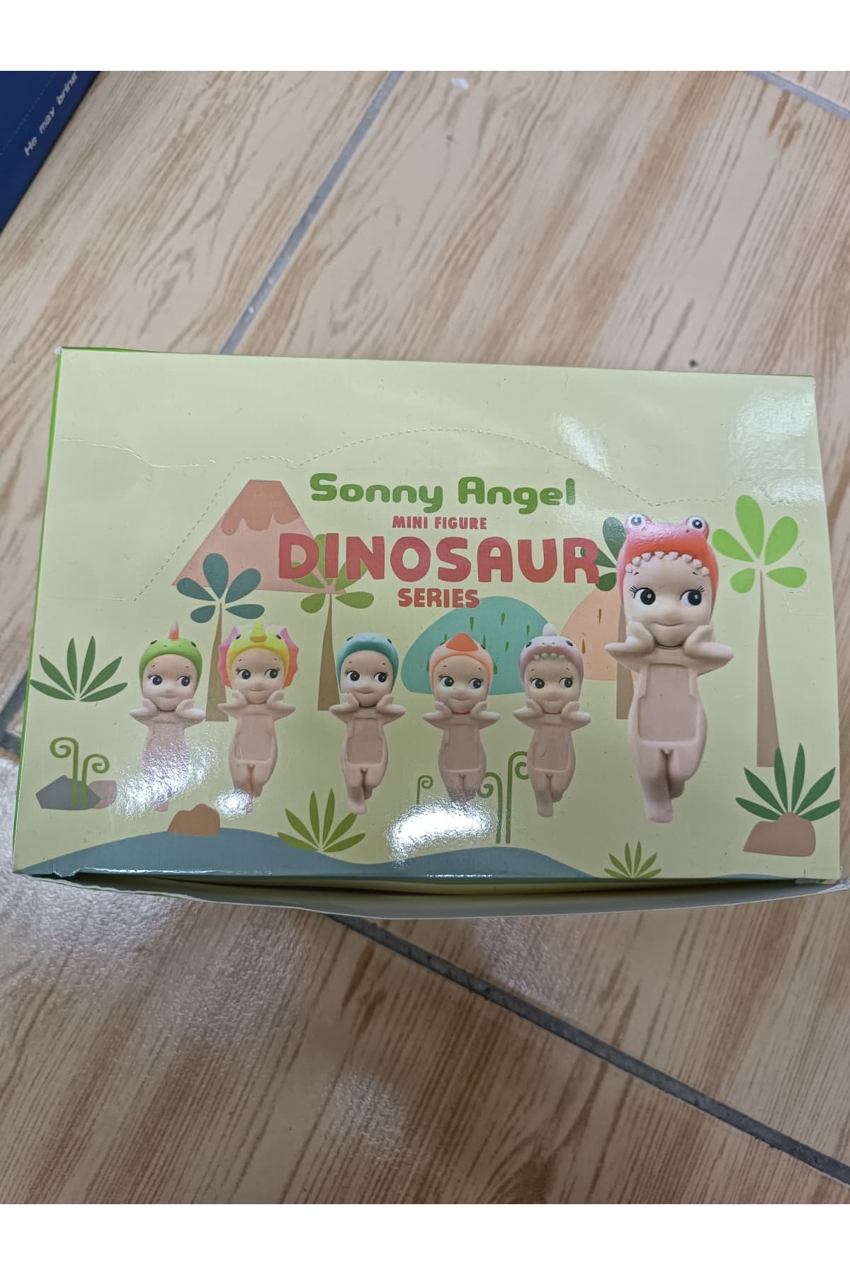 BTİCARET Sonny Angel Dinosaur Series Mini Koleksiyon Figür