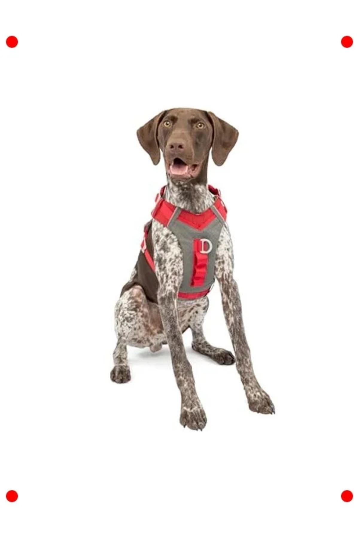 Genel Markalar Hava Geçiren Dolgulu Köpek Koşum Takımı - M Beden