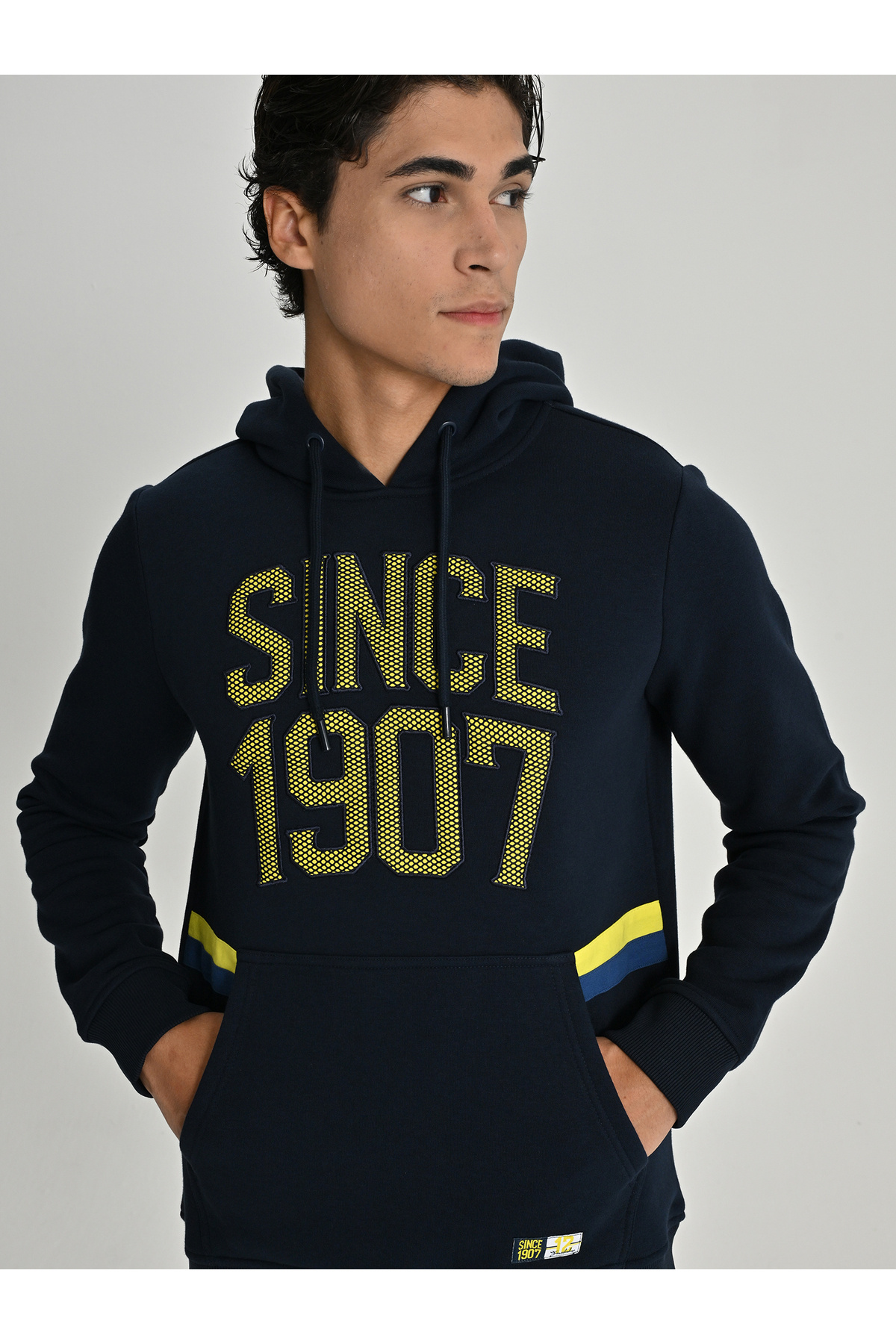 Fenerium ERKEK KOLEJ SINCE 1907 SWEAT görsel 4
