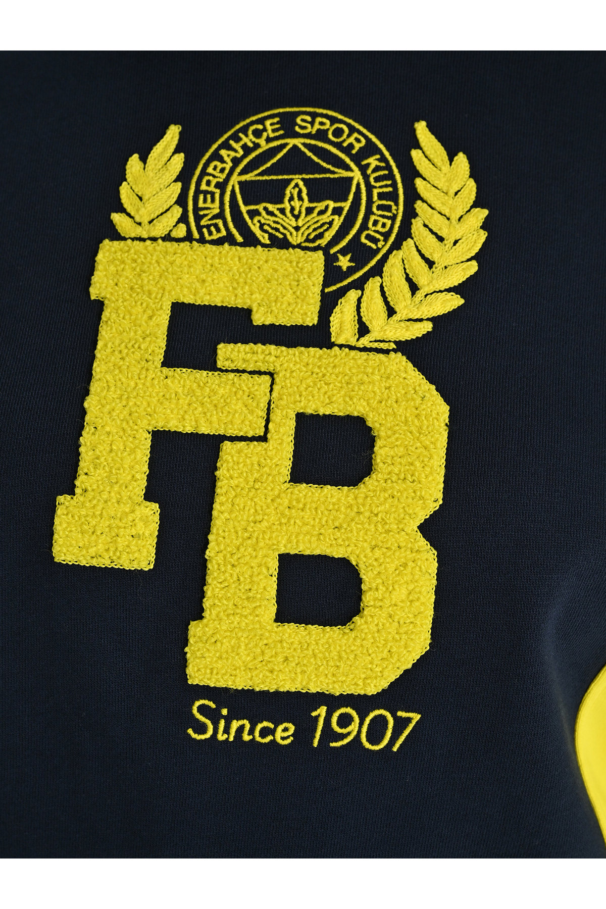 Fenerium KADIN KOLEJ FB SINCE 1907 SWEAT görsel 5
