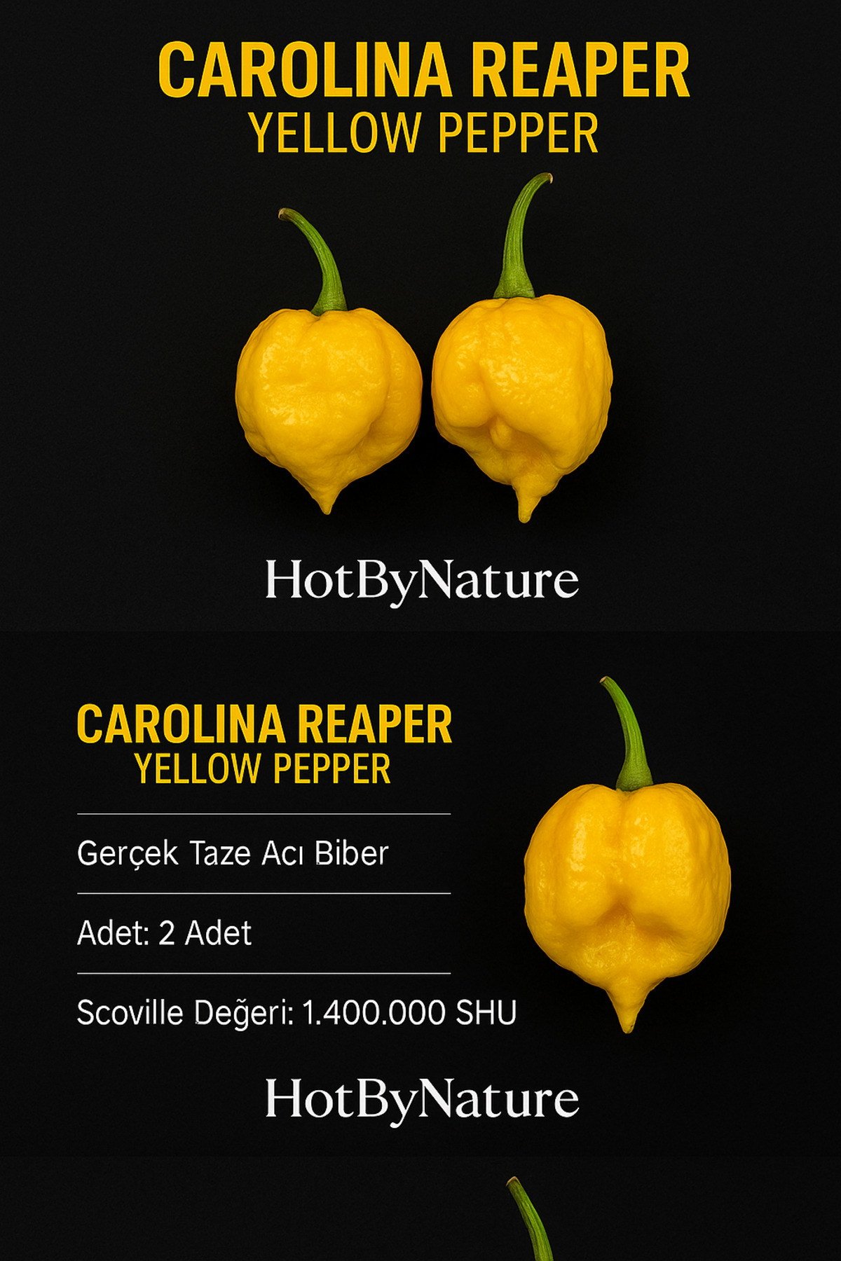 HotByNature CAROLINA REAPER YELLOW PEPPER / 1.8 Milyon Scoville - Gerçek  Taze Acı Biber