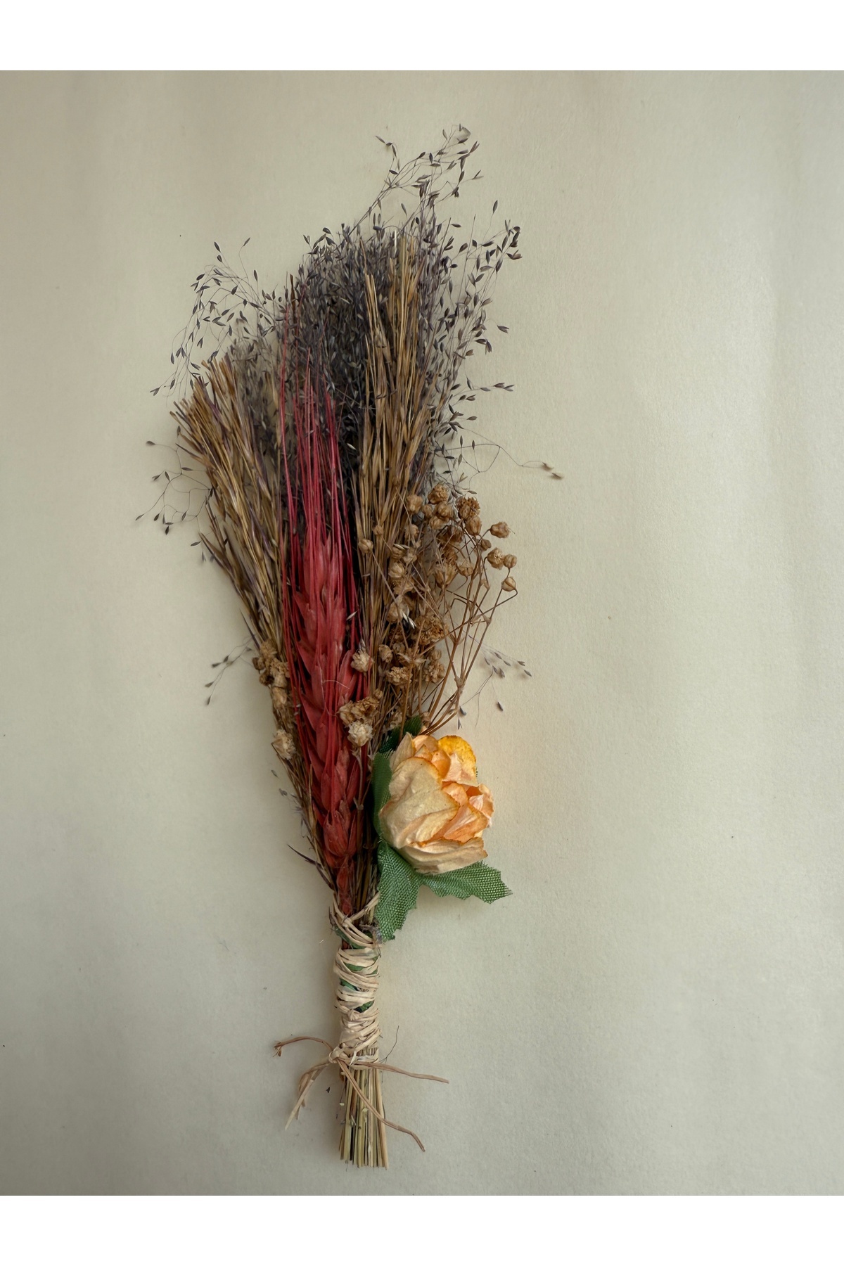 Bivalvia Accessories yaka iğnesi