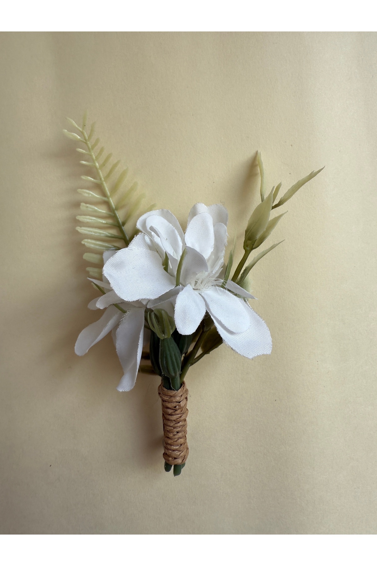 Bivalvia Accessories yaka iğnesi