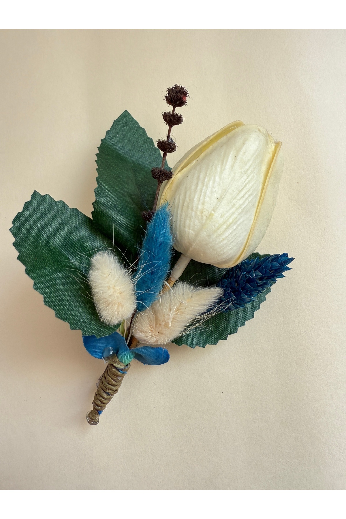 Bivalvia Accessories yaka iğnesi