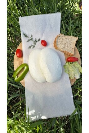 TABİAT ANA ANTAKYA AÇMA PEYNİR