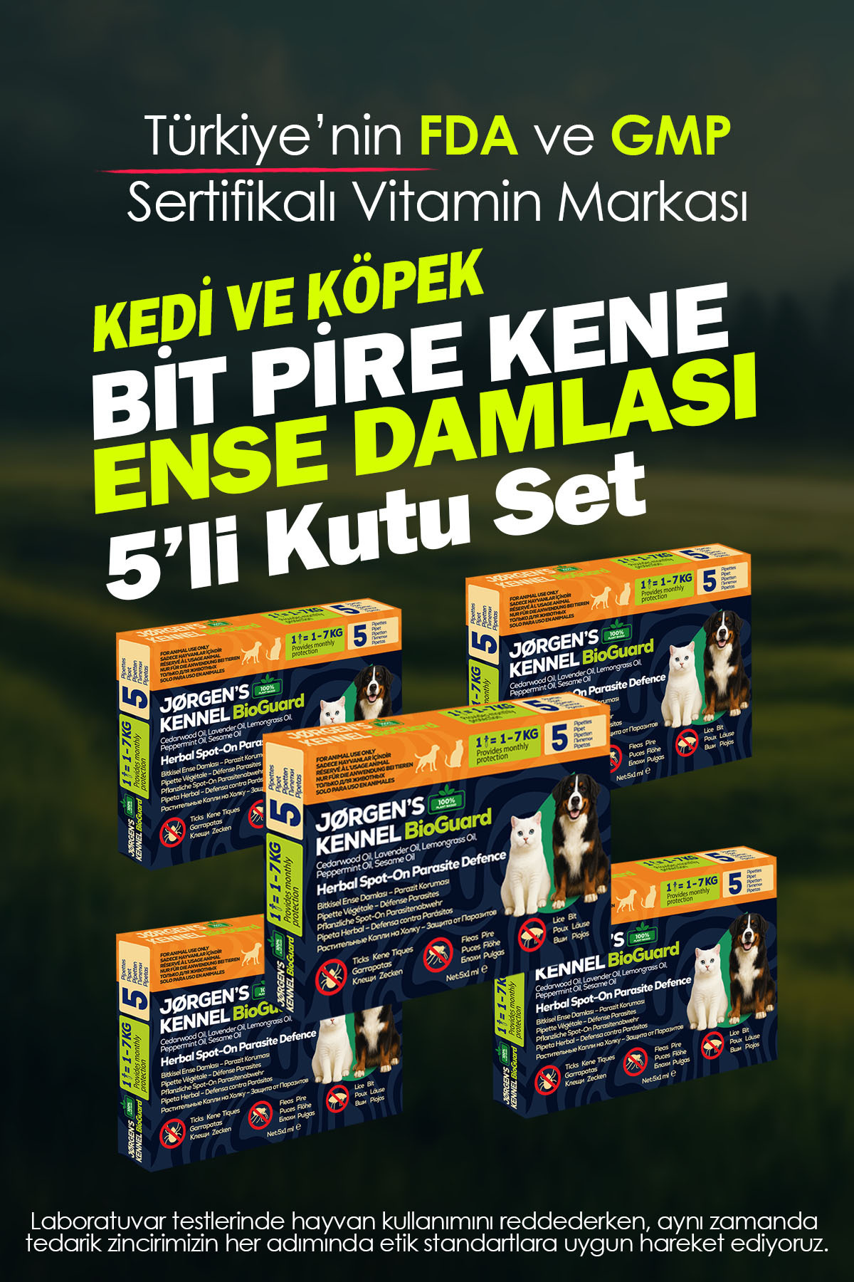 Jorgens Kennel Kedi & Köpek 5'li Dış Parazit Bitkisel Damla – Pire, Bit, Kene Koruması 25×1 ml