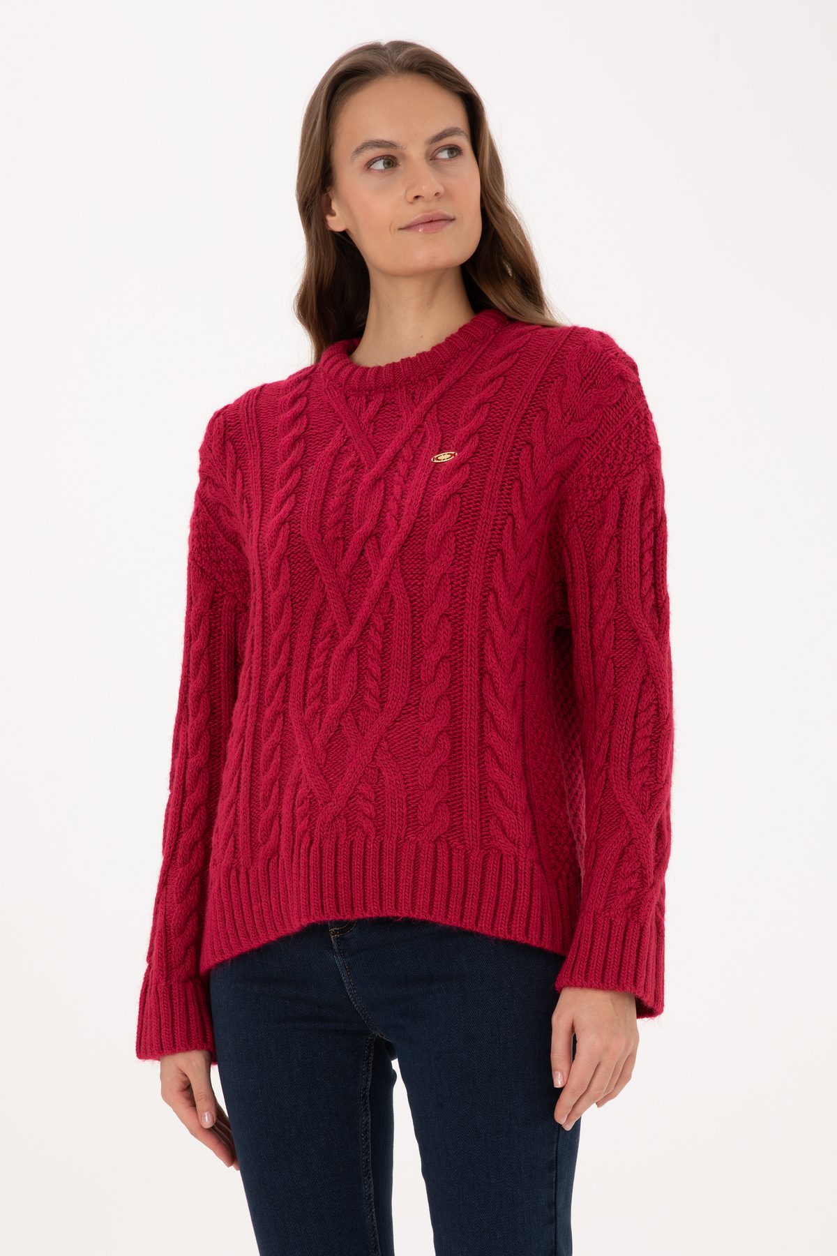 U.S. Polo Assn. Kadın Koyu Frambuaz Bisiklet Yaka Kazak 50310215-VR104 görsel 3