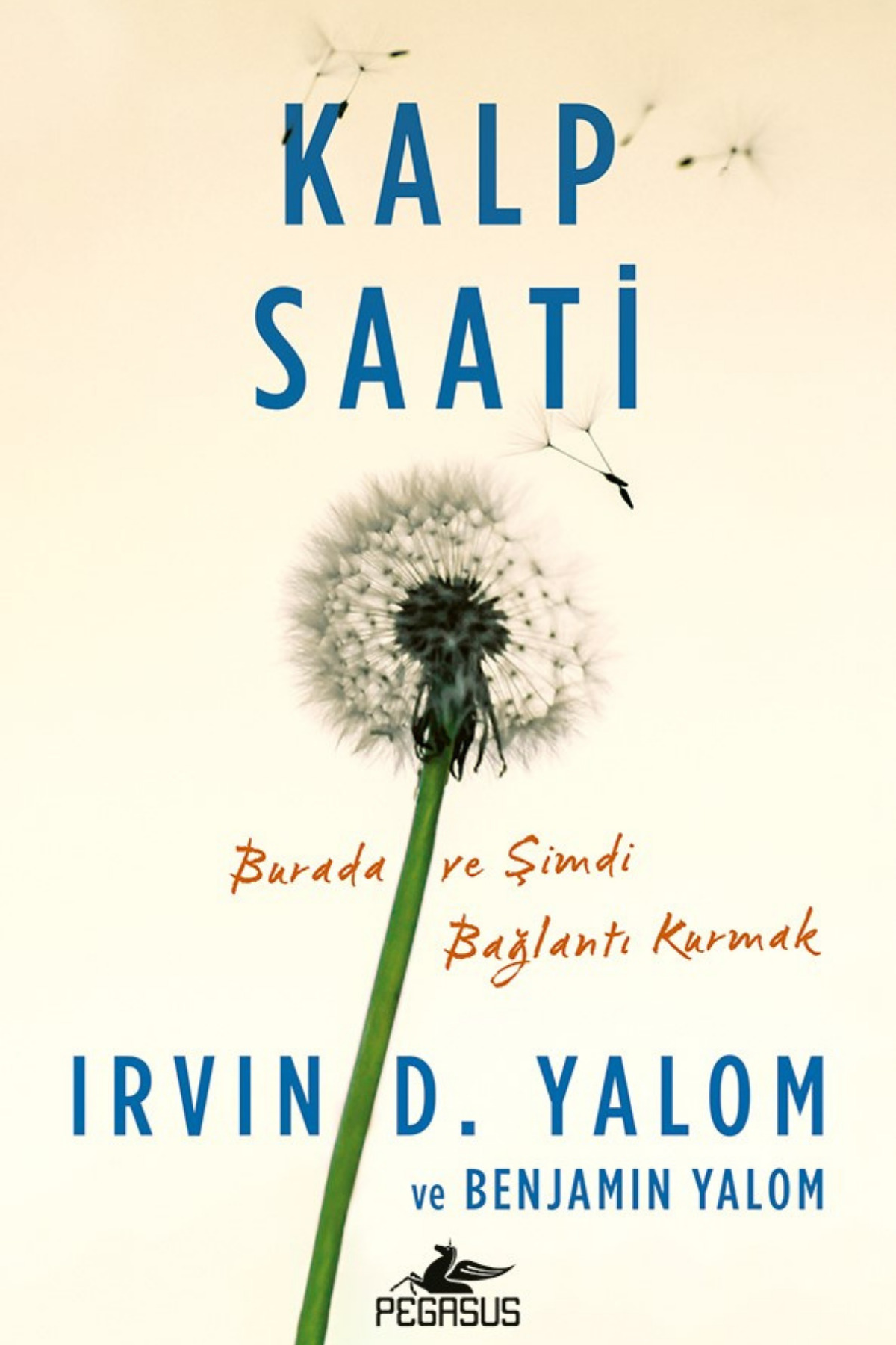 Pegasus Yayınları Kalp Saati: Burada ve Şimdi Bağlantı - Irvin D. Yalom ve Benjamin Yalom