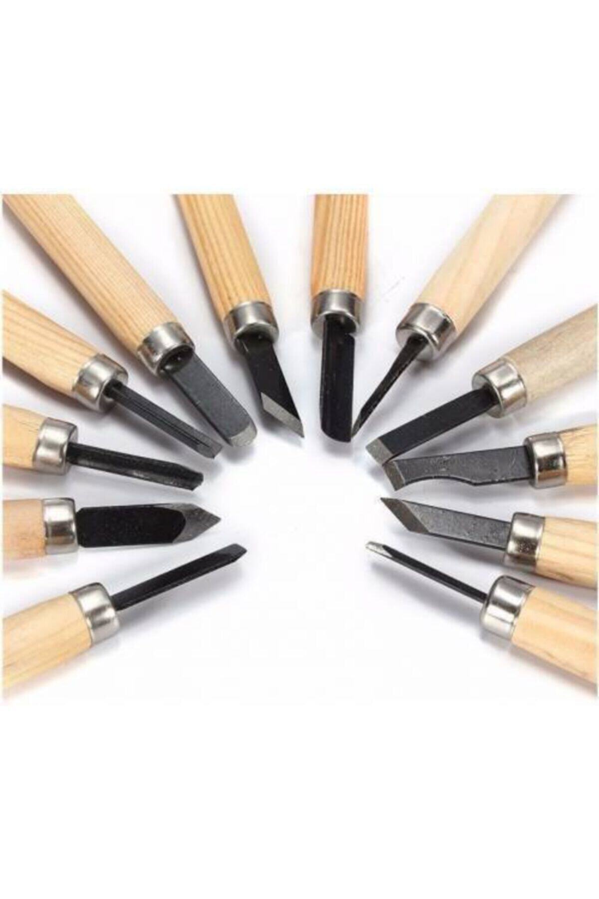 HerŞey Marketing Ahşap Oyma Temel Ve Detaylı Şekil Verme Uç Takımı Kil Balmumu Şekillendirme 12 Parça Törpü Seti