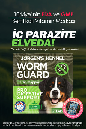 Jorgens Kennel Köpek için %100 İç Bitkisel Parazit Tableti ve Hapı 2 Tablet| ...