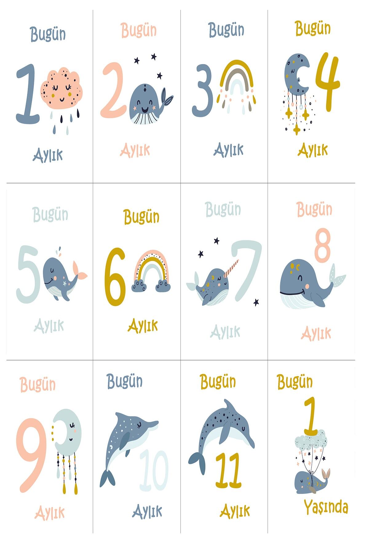 Moky Design Fil Desenli Erkek Bebek Bornoz Seti ve 12’li Aylık Ay Dönümü Anı Kartları – Bebek Hediyelik fotoğrafı 2 (önizleme)