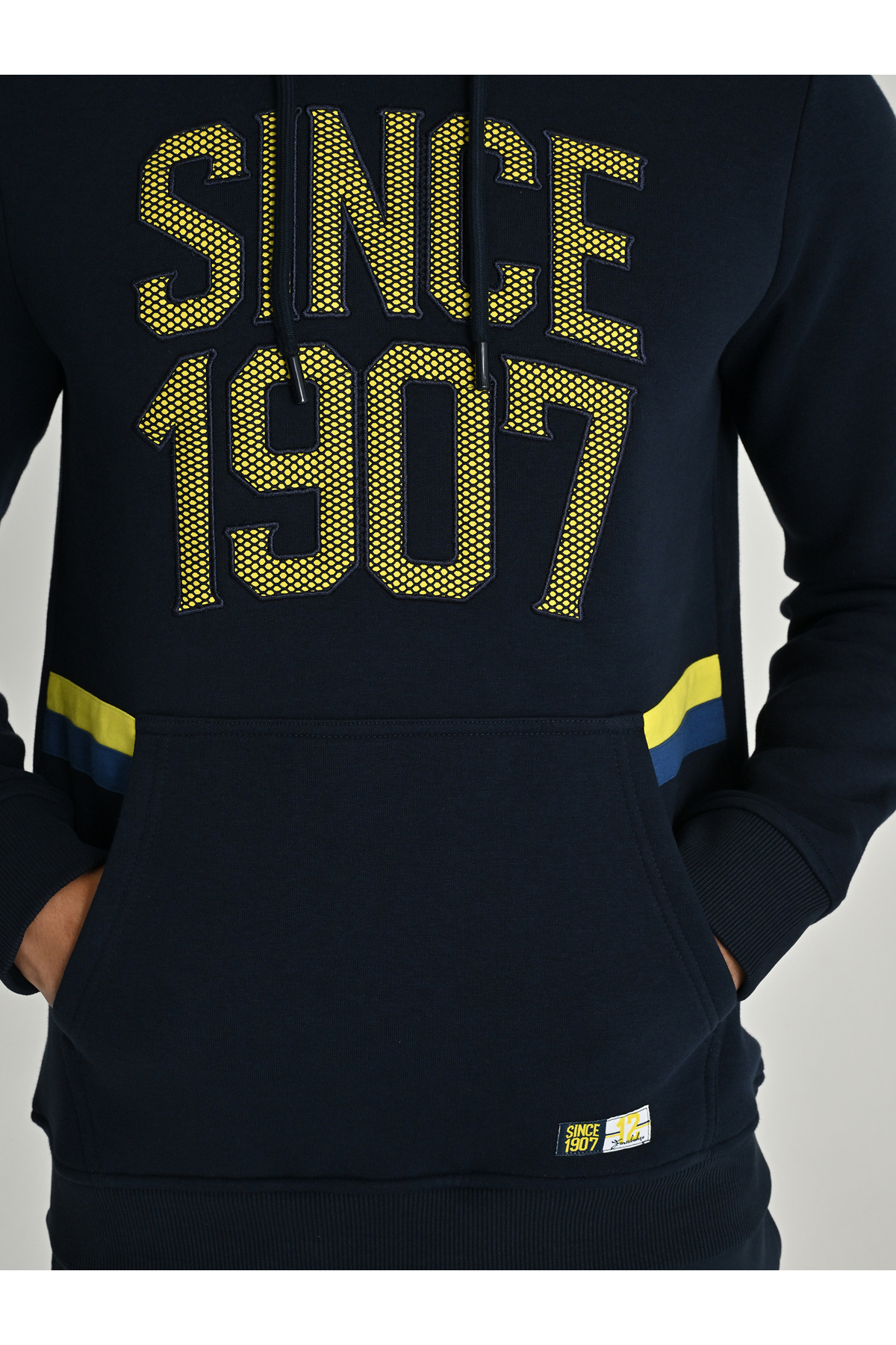 Fenerium ERKEK KOLEJ SINCE 1907 SWEAT görsel 5