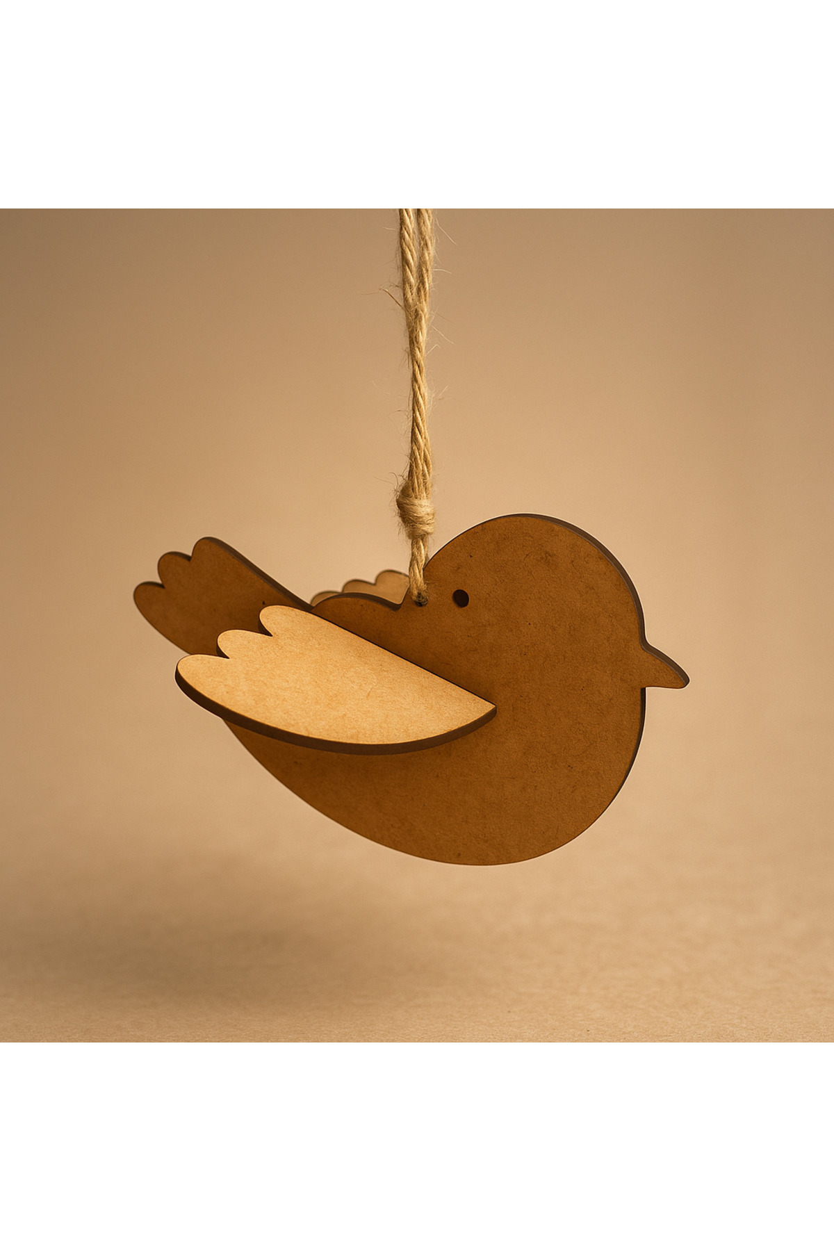 ست نقاشی طرح پرنده – نقاشی پرنده چوبی – ست طرح پرنده