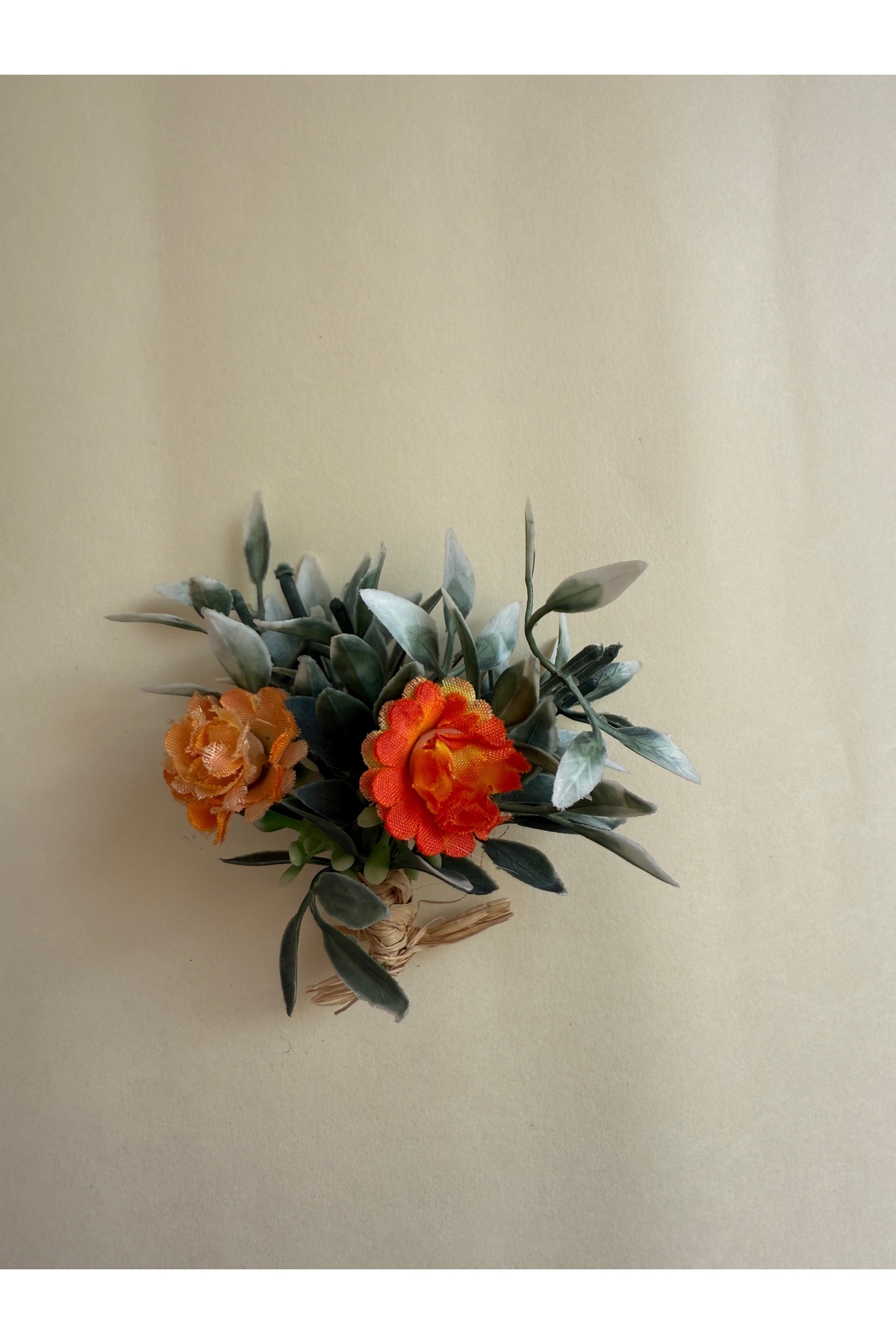 Bivalvia Accessories Yaka İğnesi