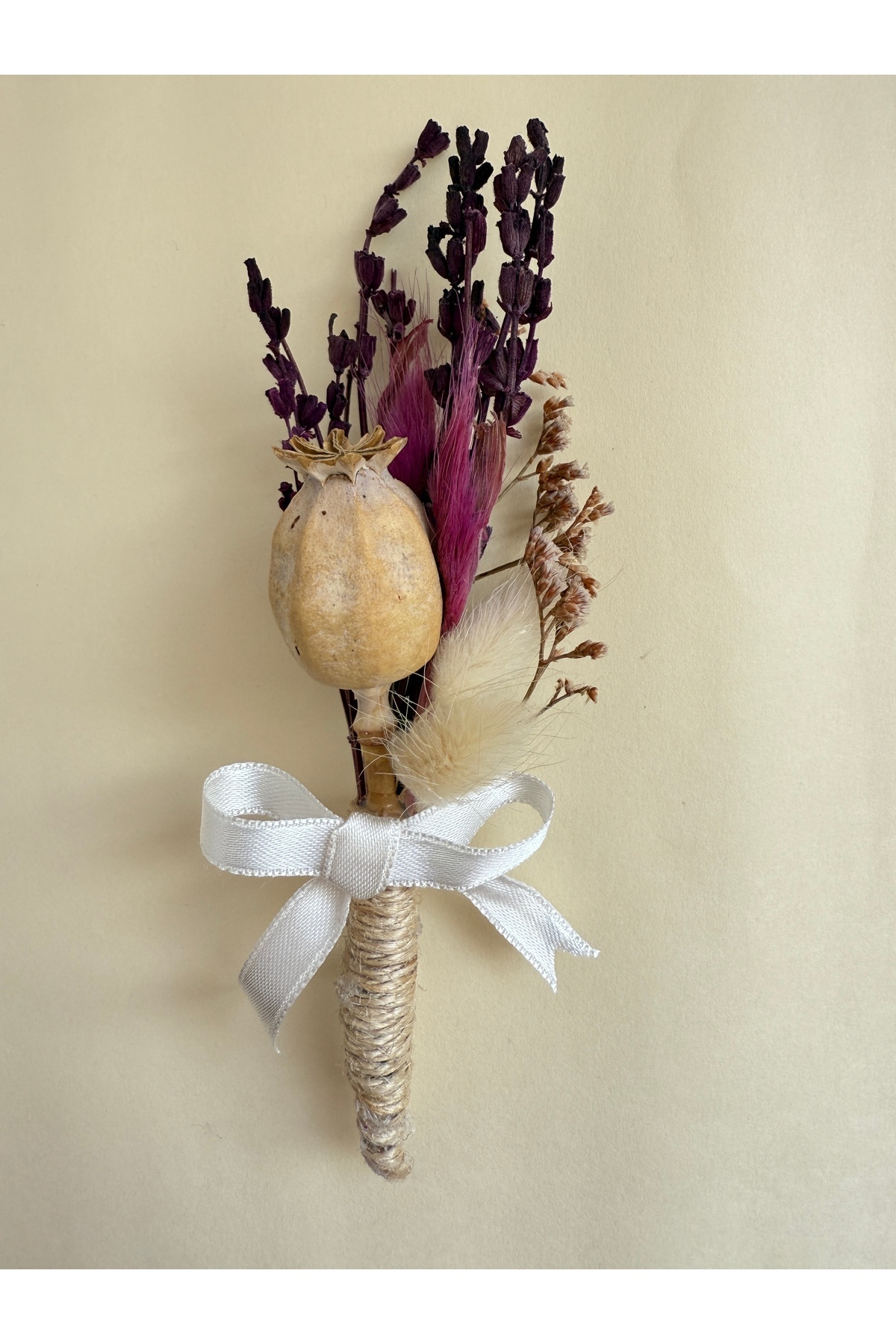 Bivalvia Accessories yaka iğnesi