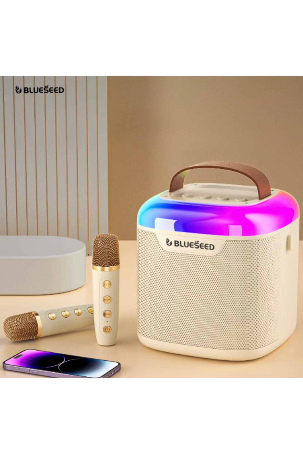 blueseed BS-601 Bluetooth Kareoke Set 2 Mikrafonlu Kareoke Box Parti Davet Oyun