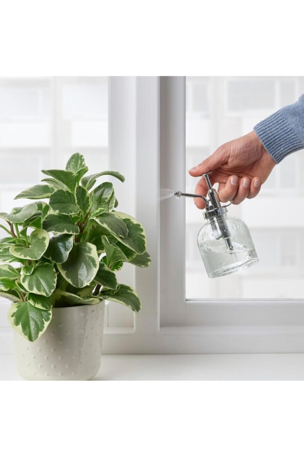 Hype Store Bitki Sulama Şişesi 25 Cl 16 Cm Sulama Sprey Şişesi Saksı Çiçek Bitki Bahçe Cam Sulama Kabı Şişesi