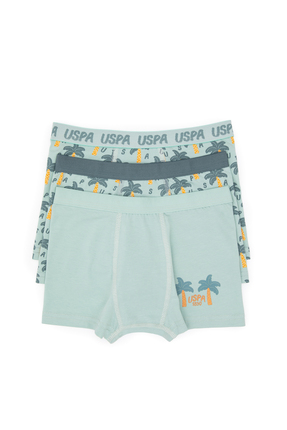 U.S. Polo Assn. Erkek Çocuk 3'lü Boxer Takım 50319388-VR048