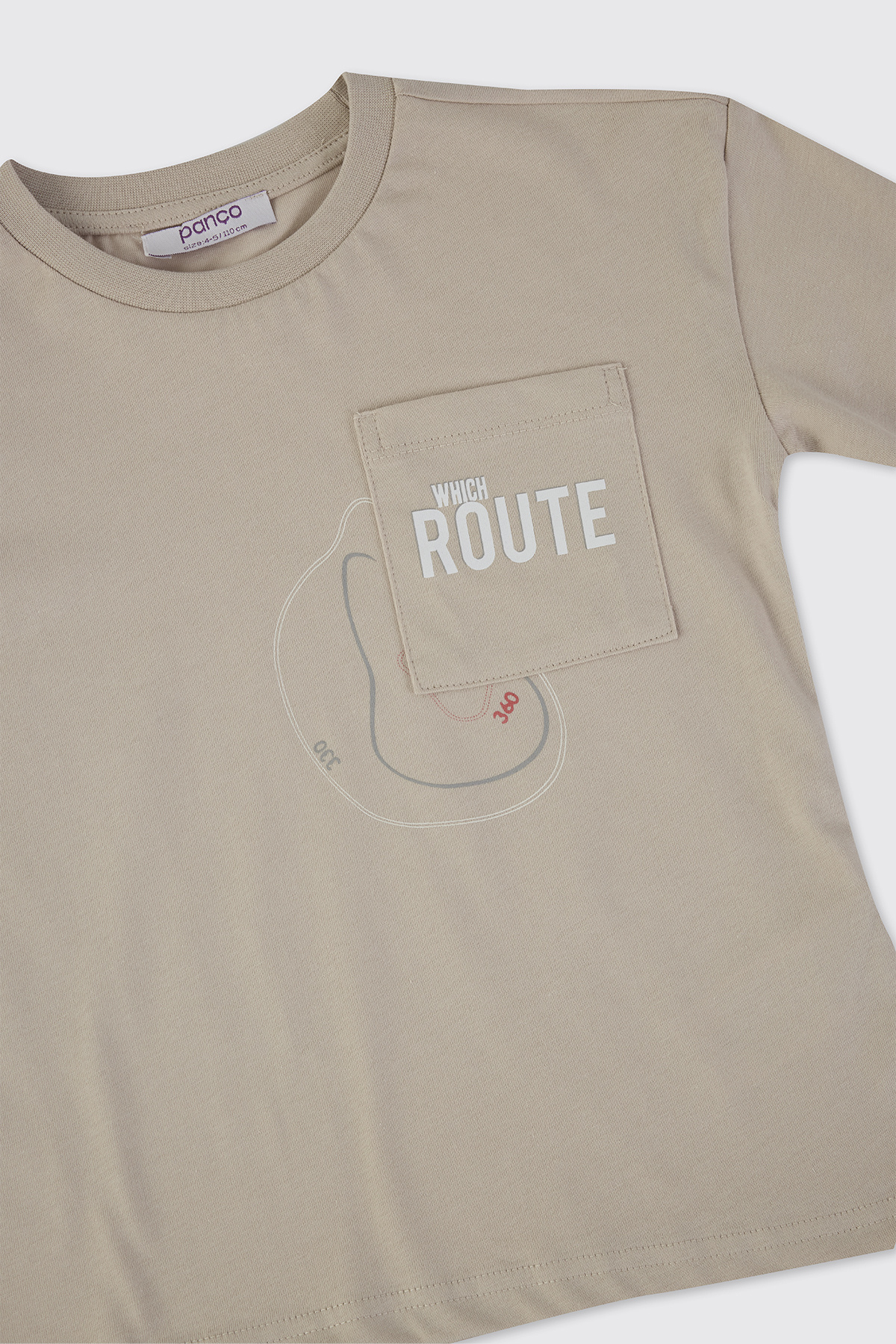 Panço Erkek Bebek Baskılı Kısa Kollu Taş Tişört fotoğrafı 3 (önizleme)