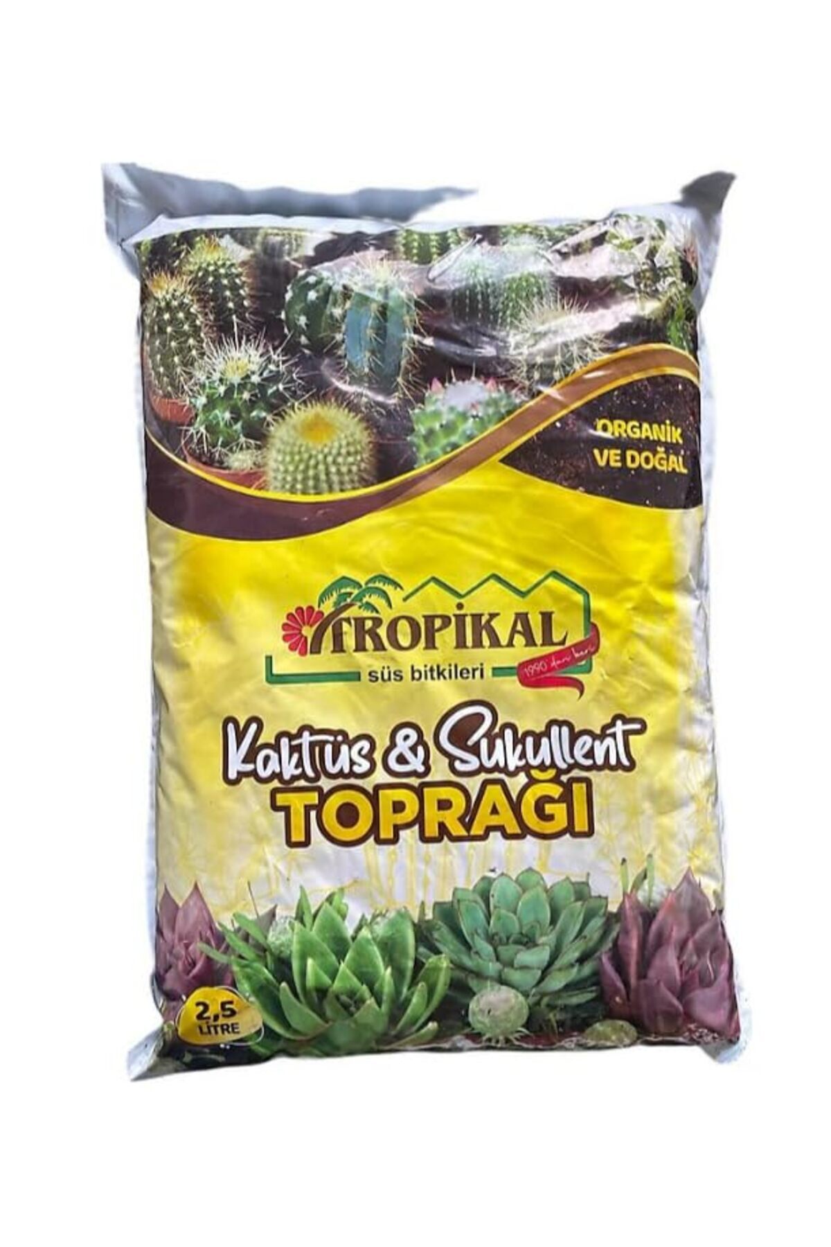 Hype Store Outdoor Outlet Kaktüs ve Sukulent Toprağı 2,5 Lt