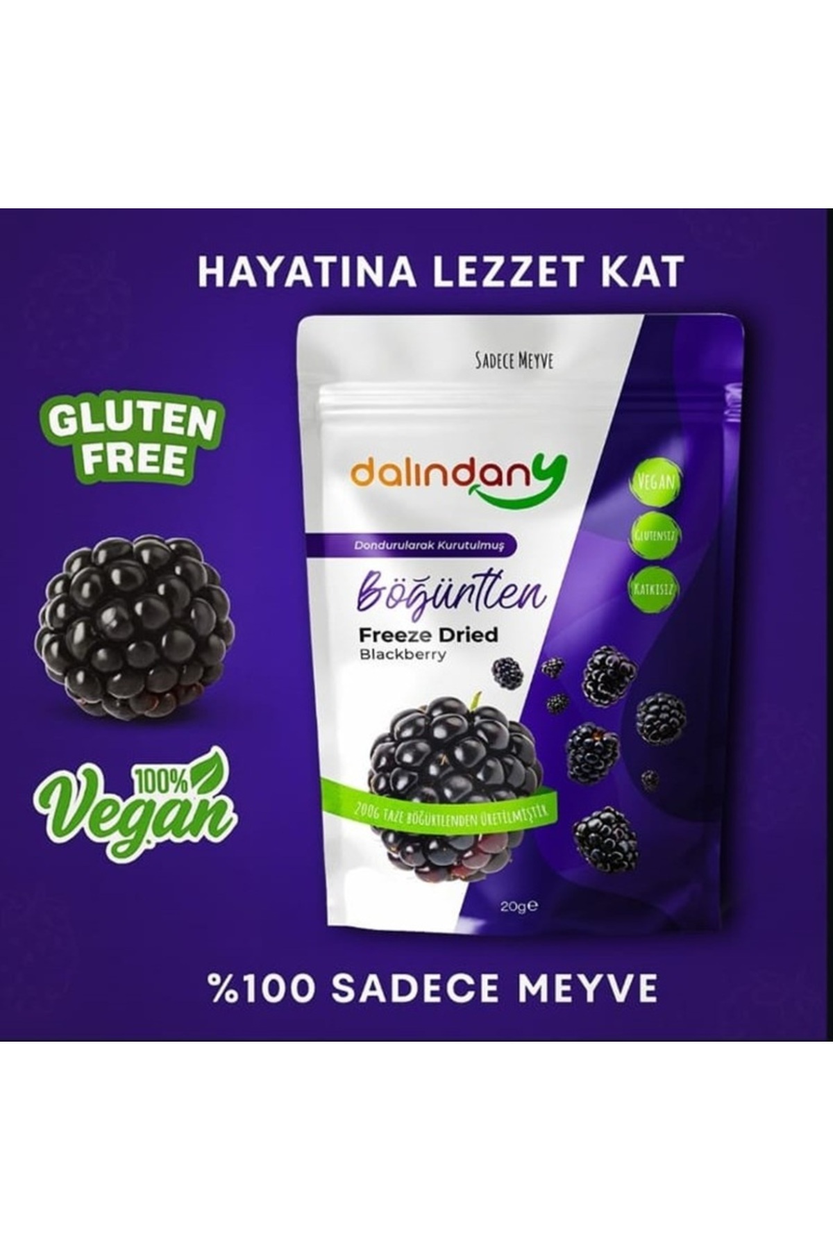 Dalindany Freeze Dried Dondurularak Kurutulmuş Böğürtlen 20 Gram