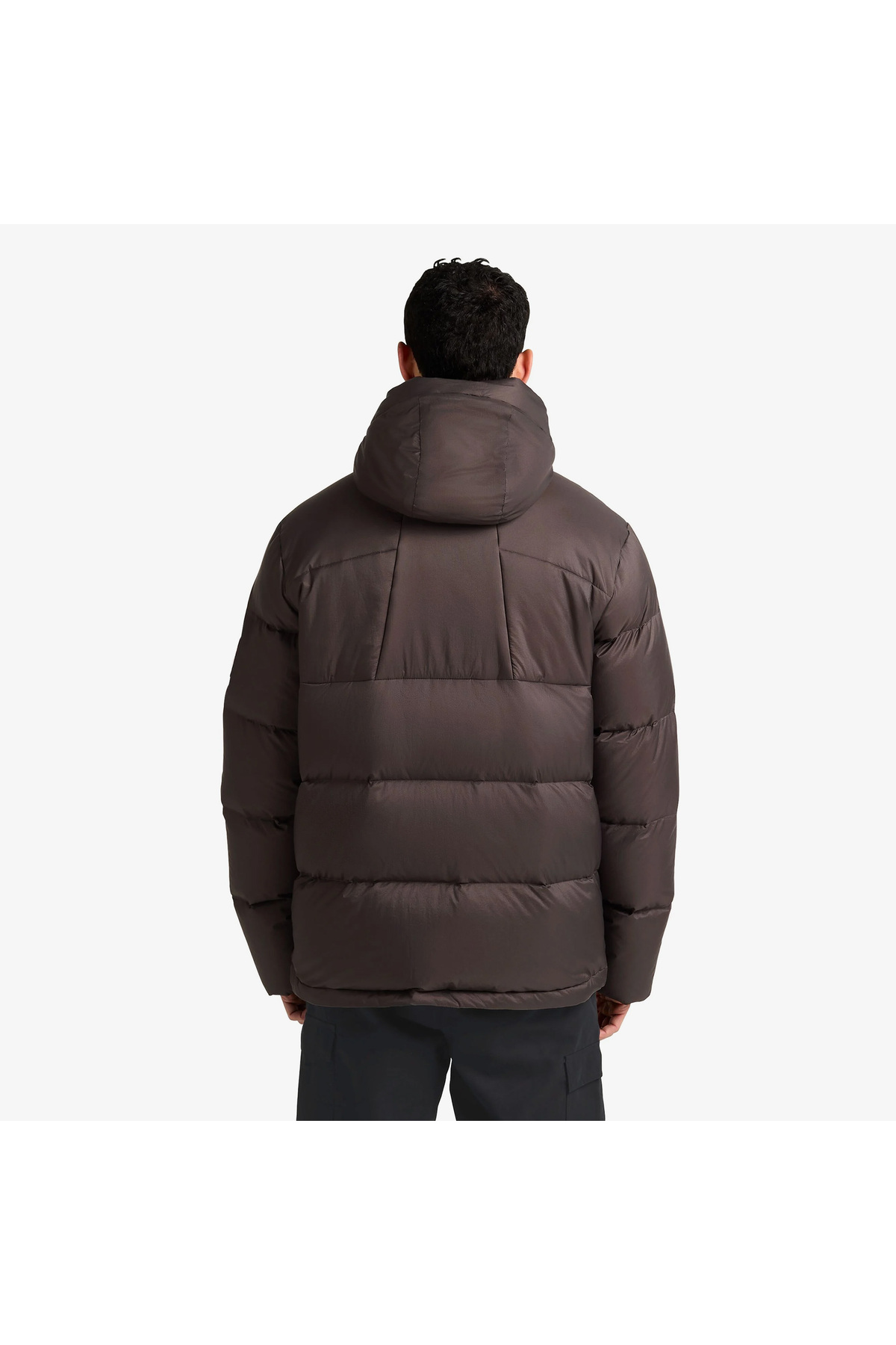 کاپشن مردانه راسته آستین استاندارد | جک ولف اسکین Jack Wolfskin A65291 - تصویر 3