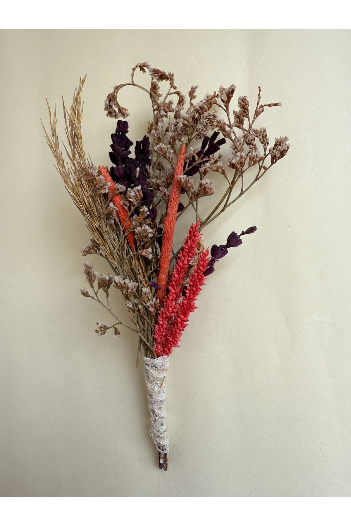 Bivalvia Accessories Yaka İğnesi