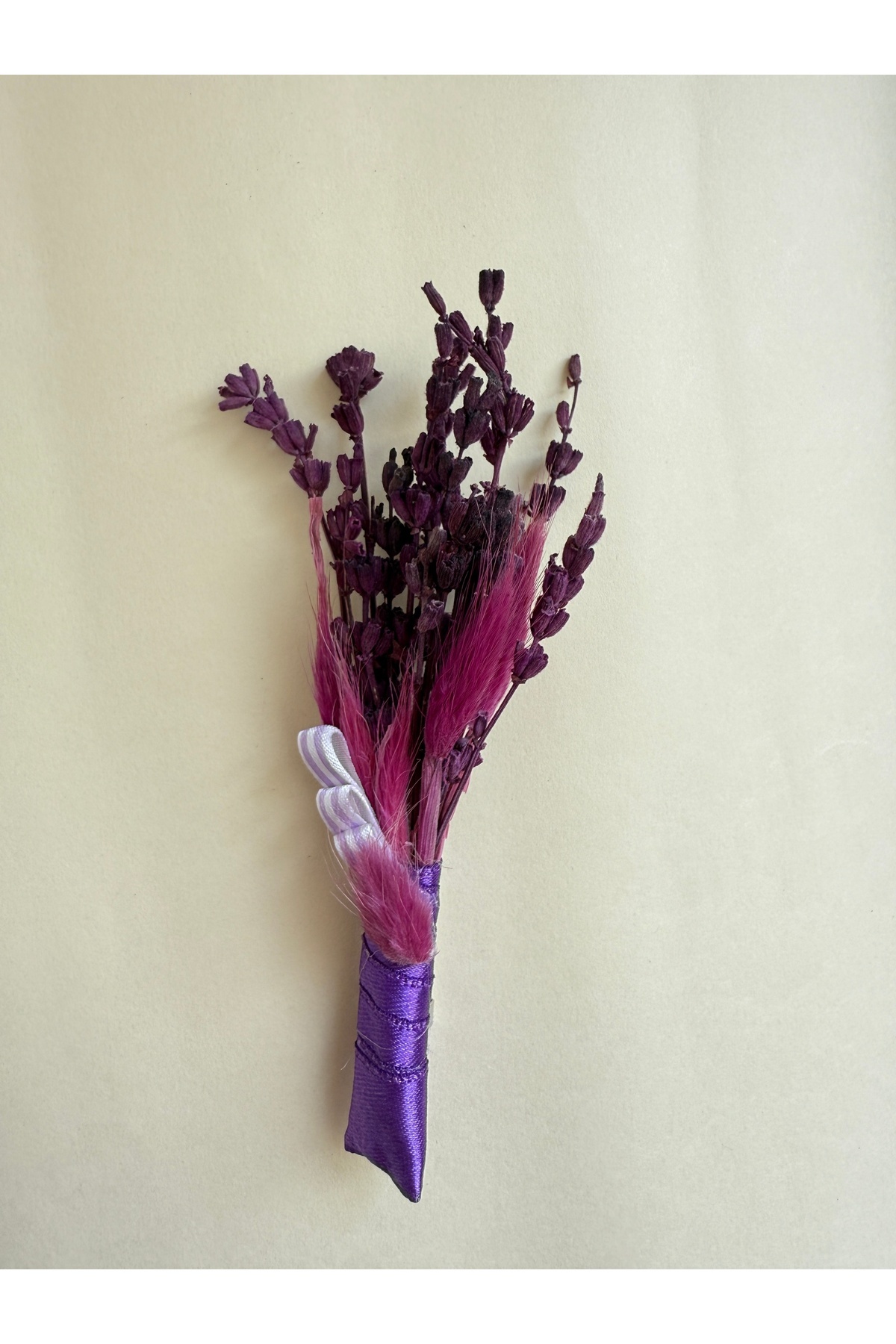 Bivalvia Accessories yaka iğnesi