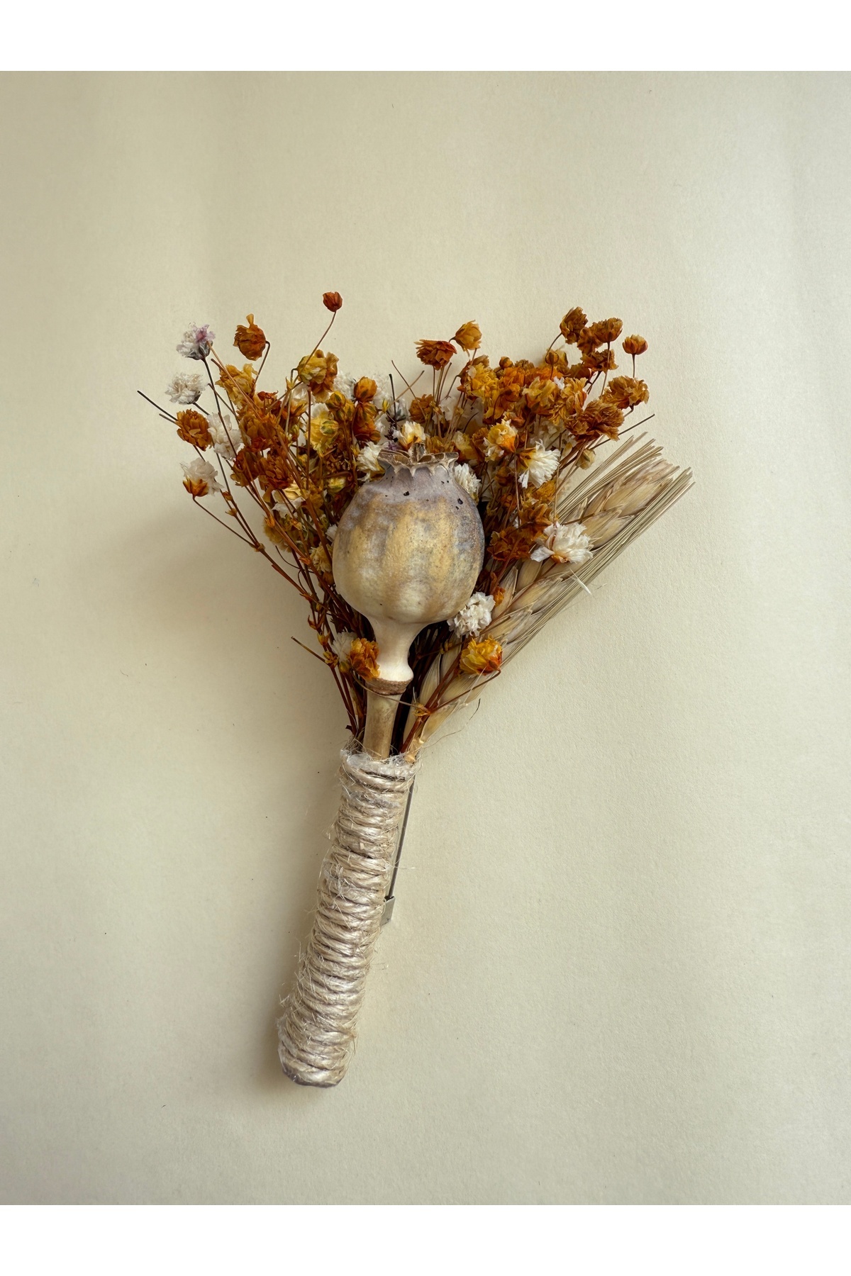 Bivalvia Accessories damat yaka iğnesi 49