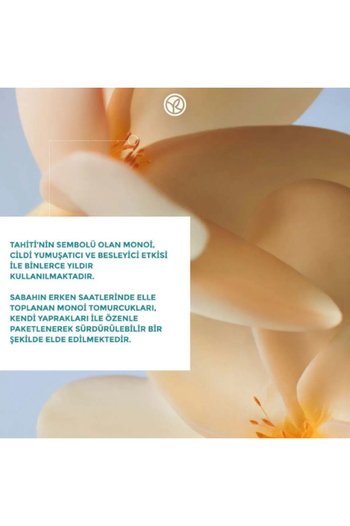 Monoi Tiare Hindistan Cevizi İçeren Nemlendirici Saç Bakım Maskesi 250 ml — SACMASK-YVES-BYD-34 — تصویر 4 از 4