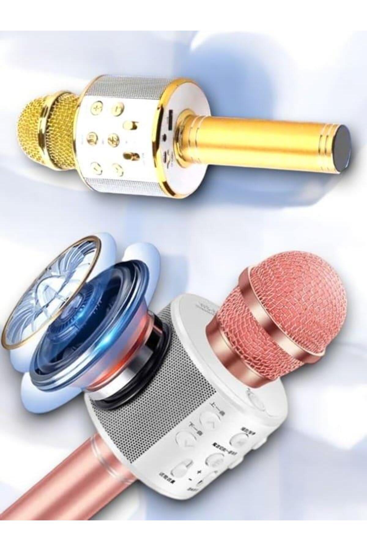 MKR KAREOKE MIKROFON