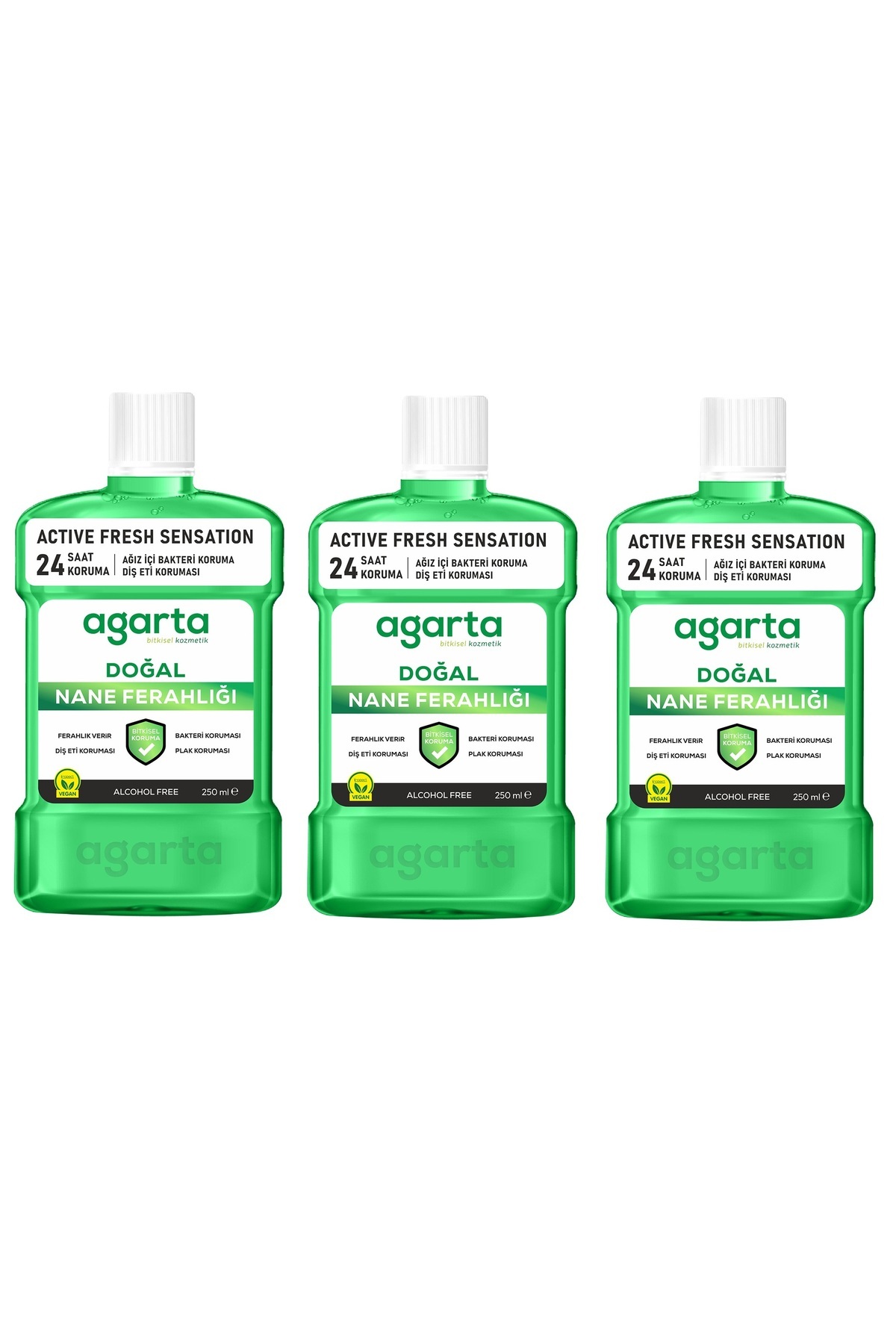 Agarta Ağız Bakım Suyu Alkolsüz Ferah Nefes Doğal Nane Ferahlığı 250 ml x 3 Adet