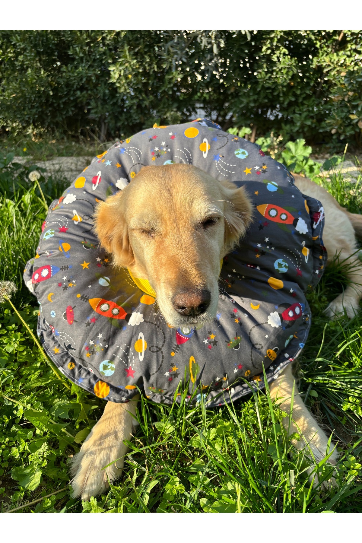 Petris 0.rta-Büyük.Irk Köpek Boyunluk-elizabeth Yakalık Operasyon Boyunluk-kedi Boyun Yastığı-XXL