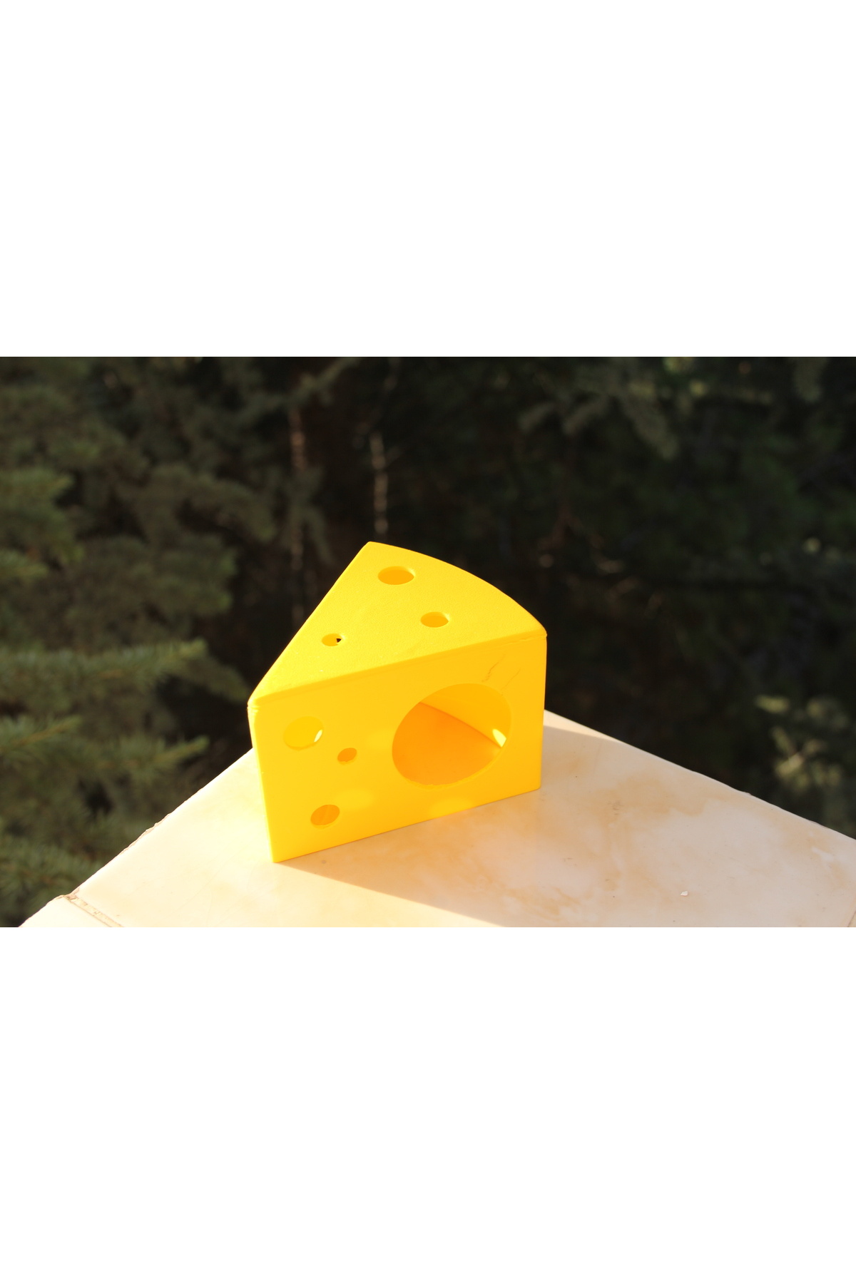 San Concept Eğlenceli Hamster Evi