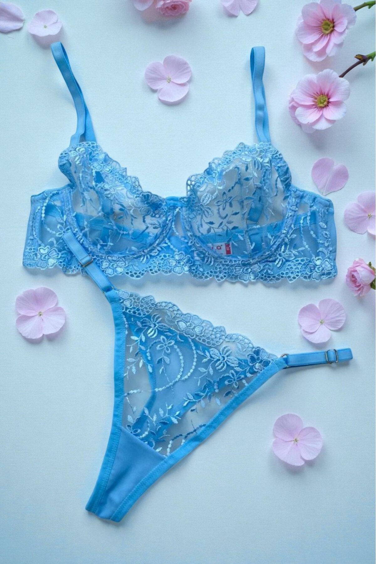BUELLNA Bebek Mavisi Gecenin Zarafeti Dantel Transparan Bralette ve Tanga Takımı fotoğrafı 4 (önizleme)