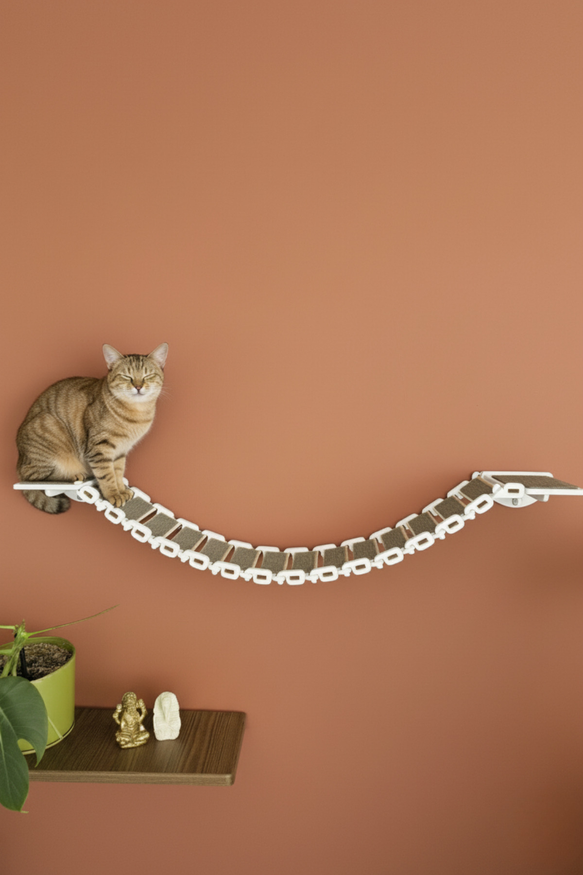 CatraWorks Kedi Duvar Köprüsü Tırmanma Rampası, Duvar Yolu Parkuru