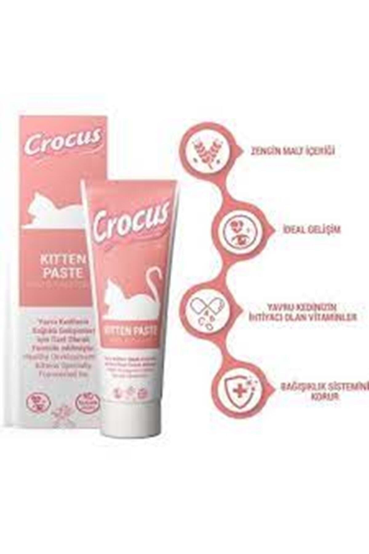 Genel Markalar Kedi Kitten Malt Macunu 100 Gram