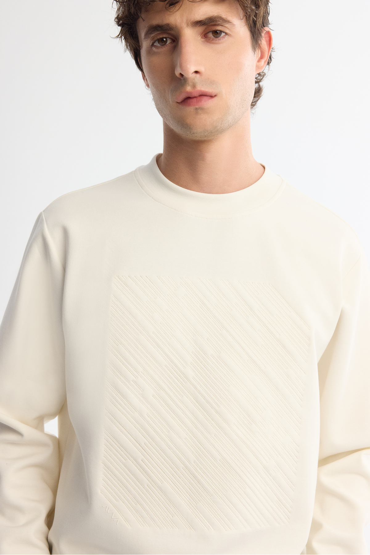 Avva  Erkek Ekru Bisiklet Yaka Pamuklu Baskılı Elastan Regular Fit Sweatshirt A42Y1243 - Görsel 4