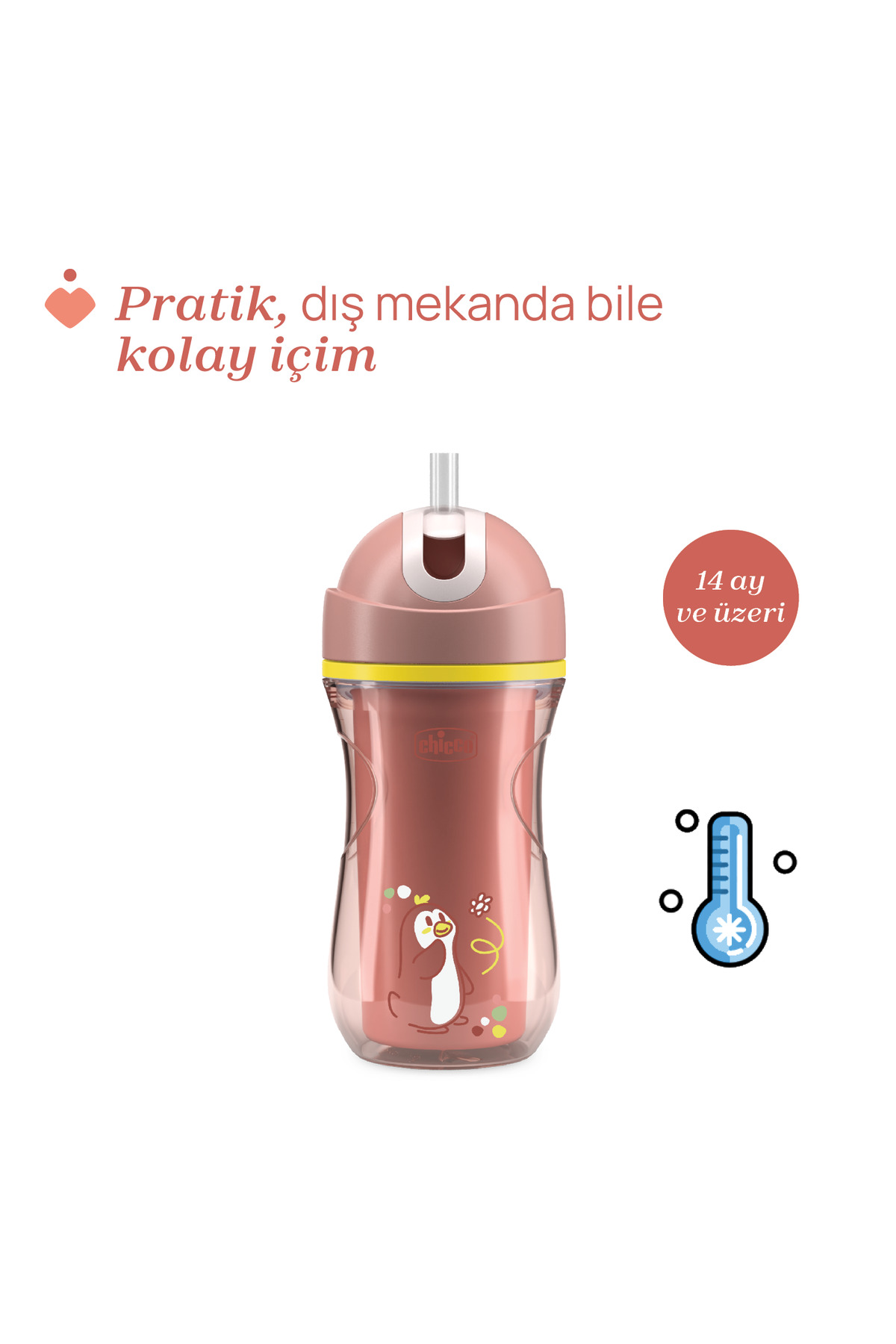 Chicco SPOR BARDAK PİPETLİ 14 AY+ KIZ YENI fotoğrafı 3 (önizleme)