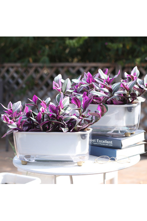 Saksıdan Sofraya Kendini Sulayan Modern Akıllı Saksı (Küçük Boy)