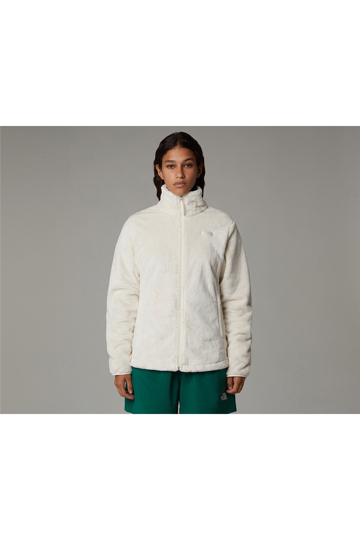 Full Zip Tam Fermuarlı Günlük Kullanıma Uygun Kışlık Polar Sweatshirt Renkli — رنگارنگ TNFWNTRSWEAT-FZ0.1 — تصویر 3 از 6