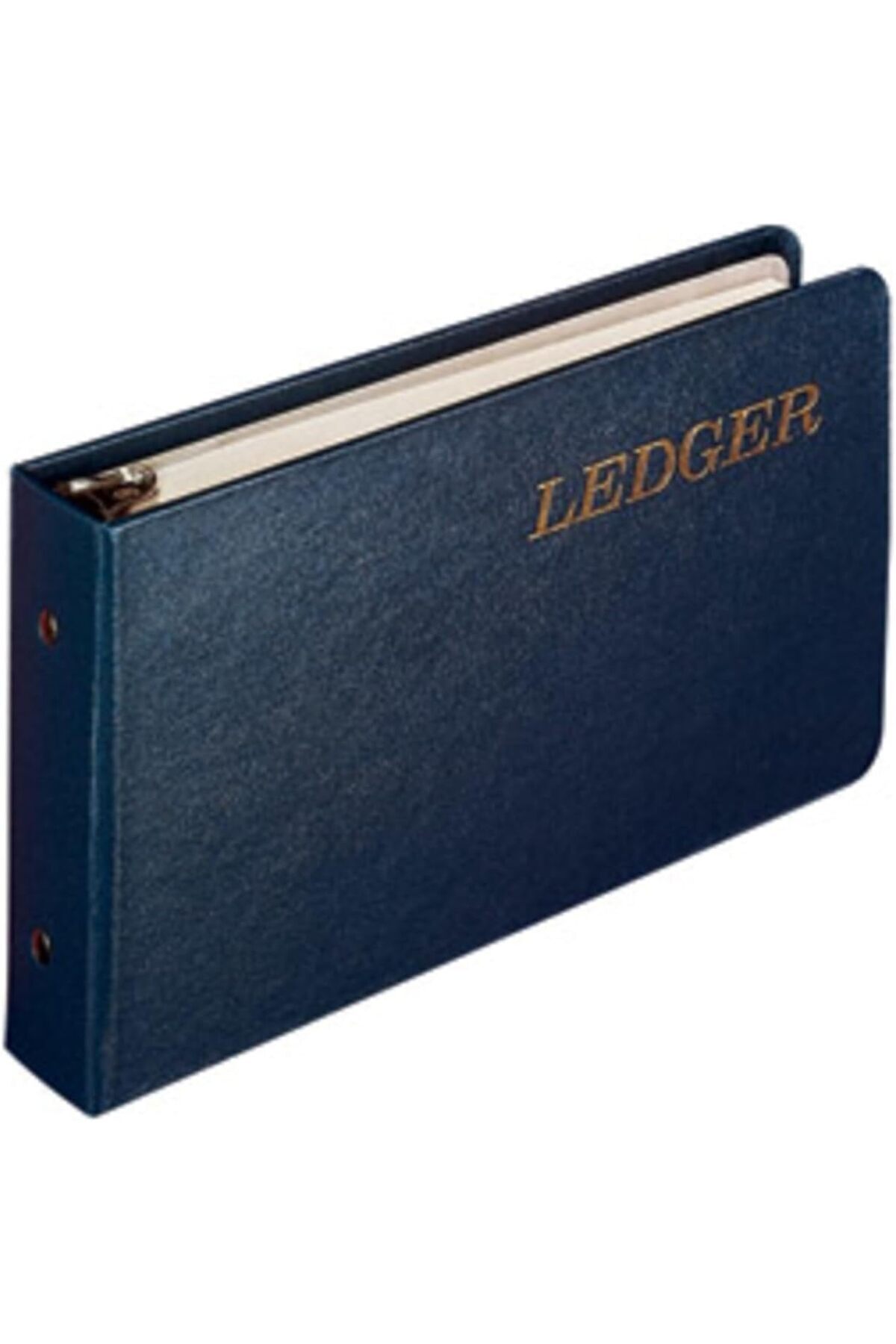 Savings Sphere Jones Ring Ledger Outfit, Buchhaltung Ring bağlayıcı, ledger yaprak, ve A-Z endeks (W0203 – 58BLA)