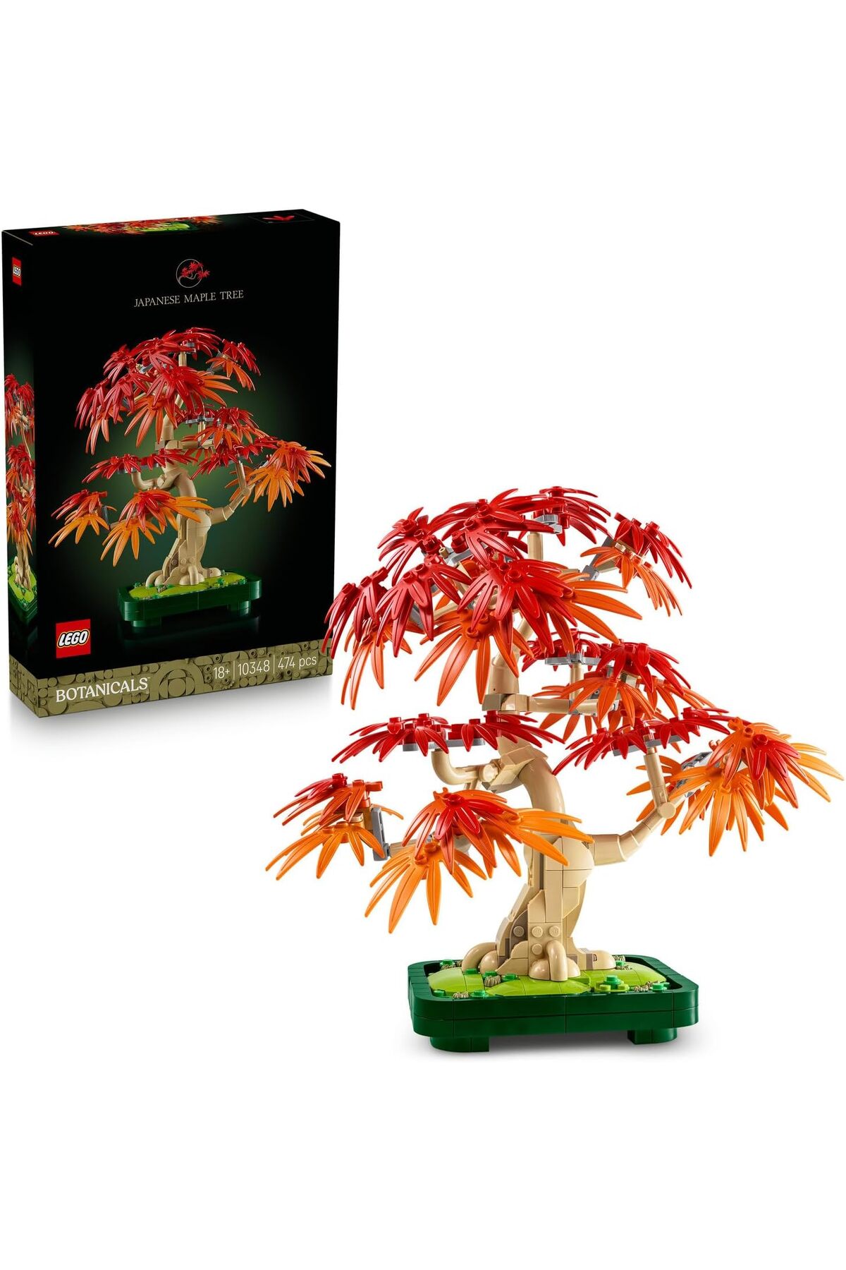 بونسای درخت افرا قرمز ۱۰۳۴۸ - کیت ساختمانی تزئینی برای بزرگسالان، هدیه برای دوستداران گیاهان